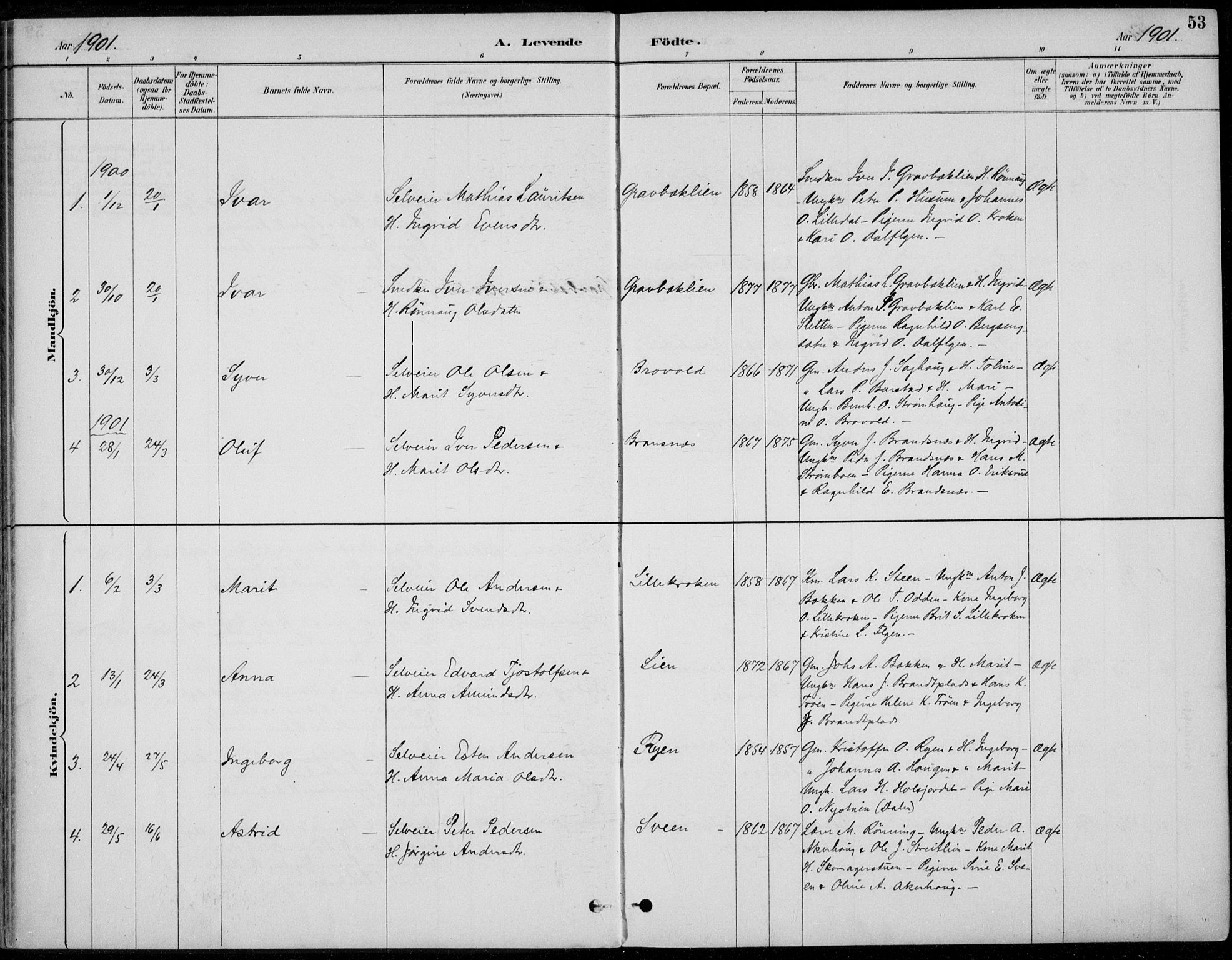 Alvdal prestekontor, AV/SAH-PREST-060/H/Ha/Haa/L0003: Parish register (official) no. 3, 1886-1912, p. 53