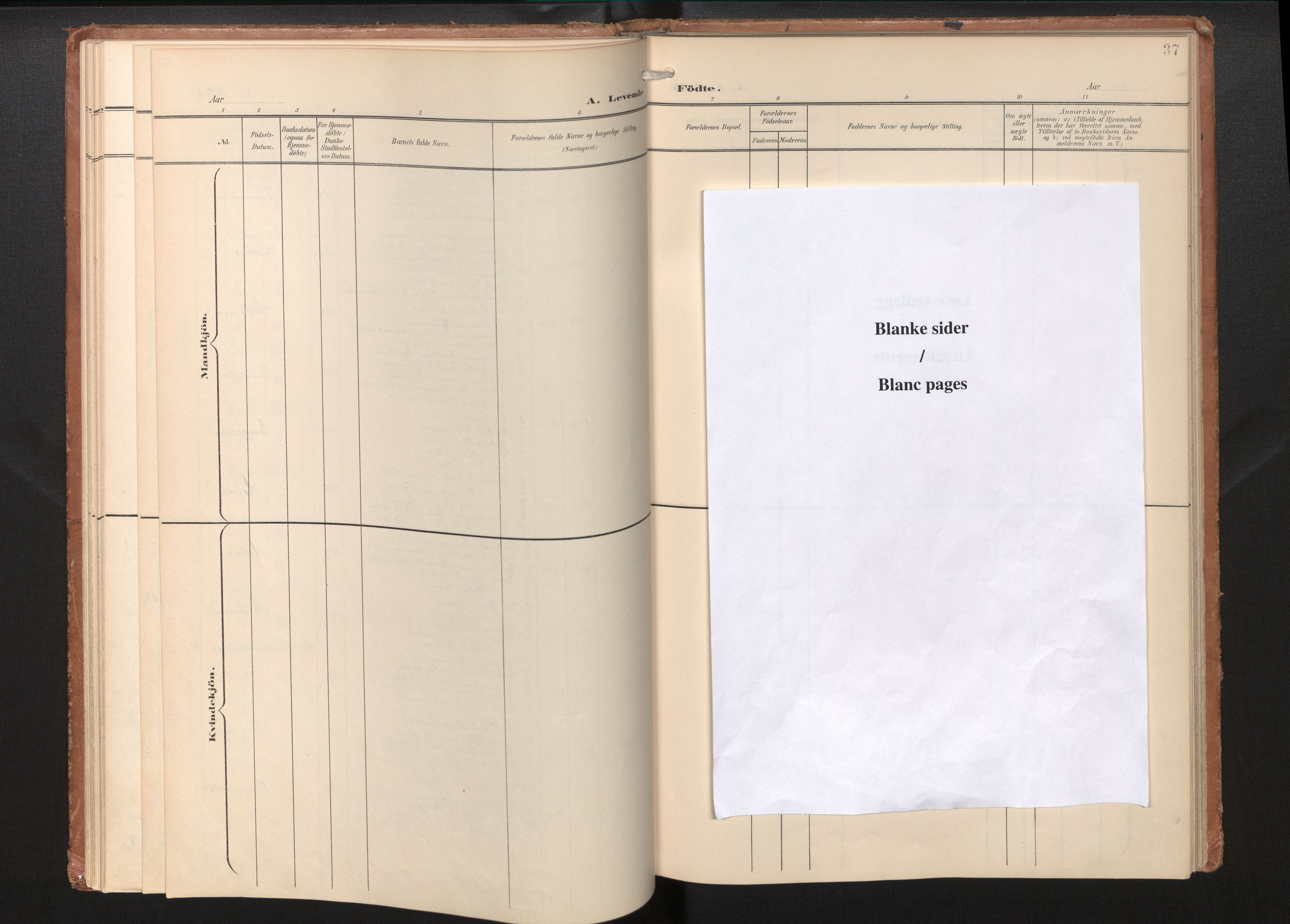 Gloppen sokneprestembete, SAB/A-80101/H/Haa/Haae/L0002: Parish register (official) no. E 2, 1904-1925, p. 36b-37a
