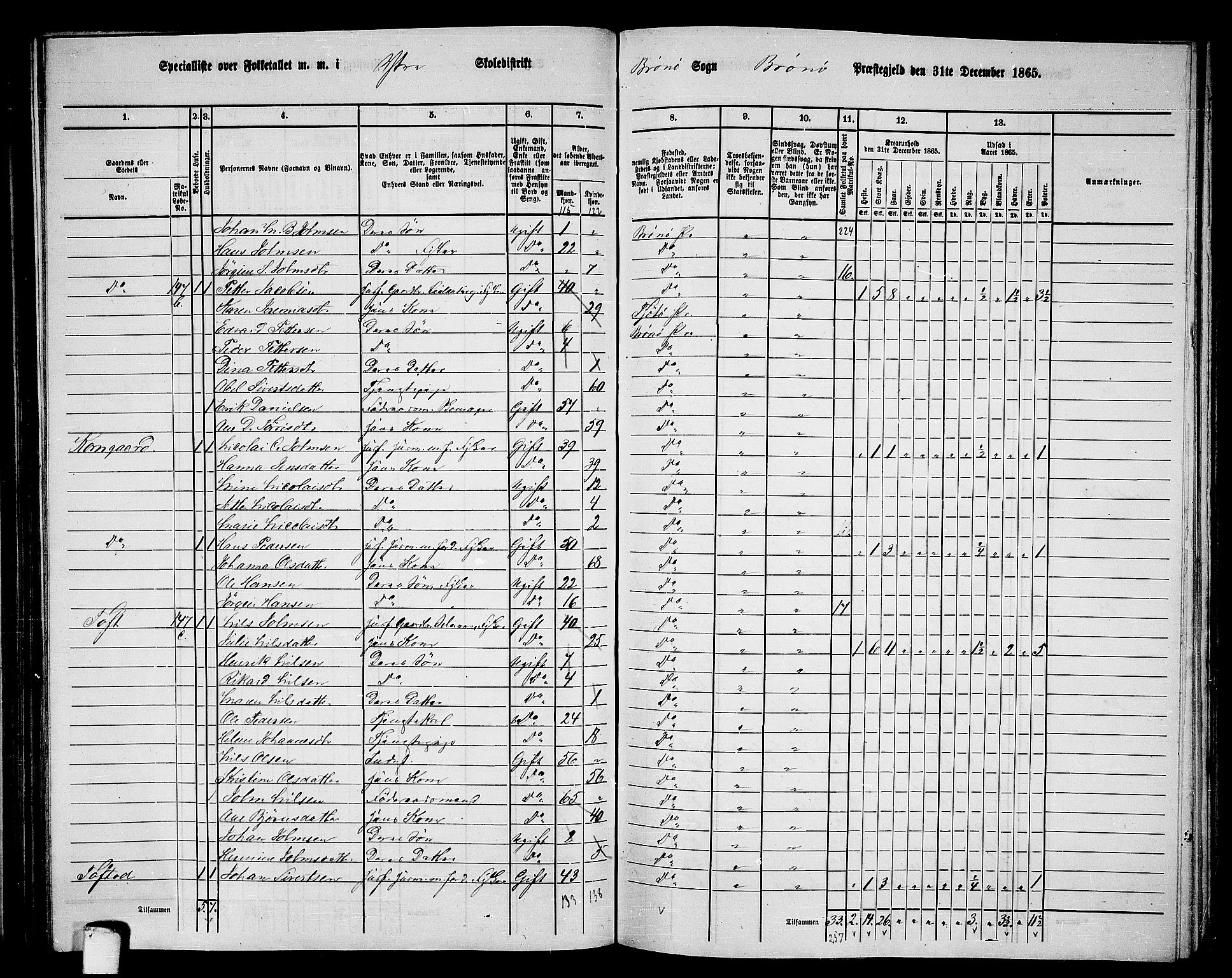 RA, 1865 census for Brønnøy, 1865, p. 132