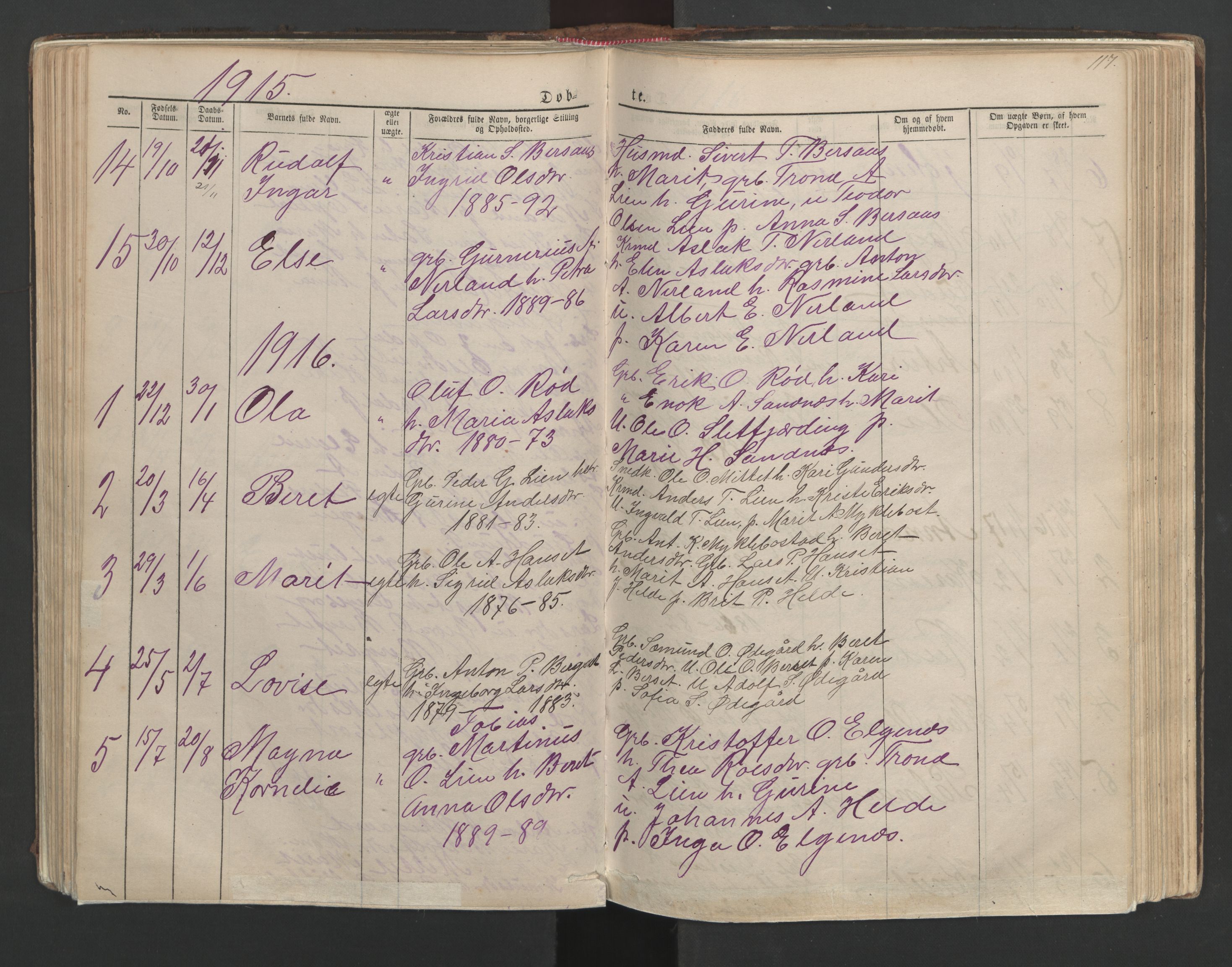 Ministerialprotokoller, klokkerbøker og fødselsregistre - Møre og Romsdal, SAT/A-1454/554/L0645: Parish register (copy) no. 554C02, 1867-1946, p. 117
