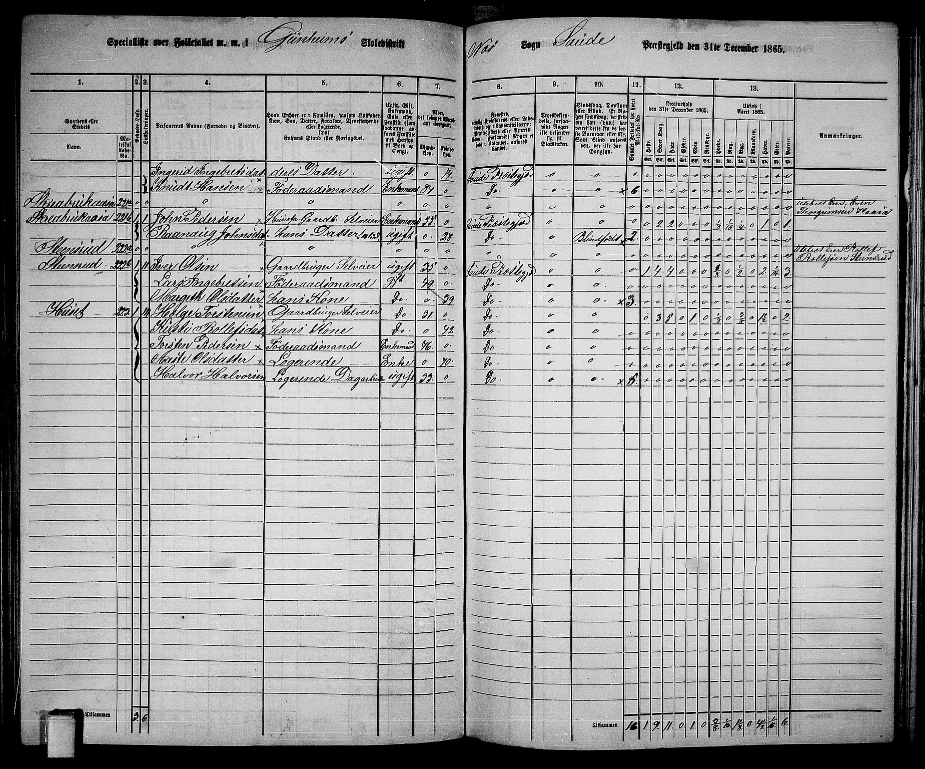 RA, 1865 census for Sauherad, 1865, p. 119