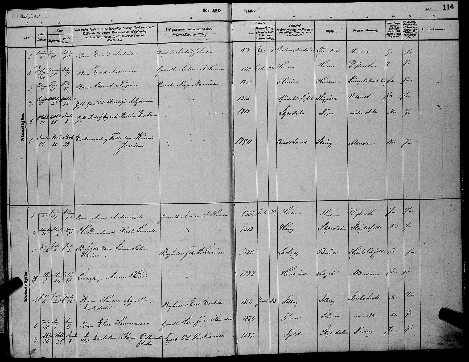 Hole kirkebøker, SAKO/A-228/G/Gb/L0002: Parish register (copy) no. II 2, 1878-1889, p. 116