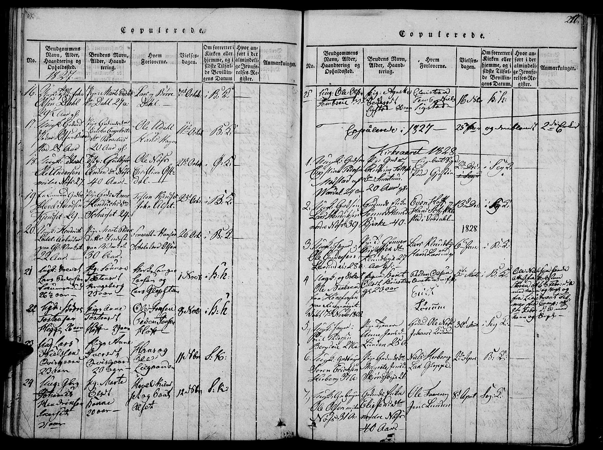Biri prestekontor, SAH/PREST-096/H/Ha/Haa/L0003: Parish register (official) no. 3, 1814-1828, p. 217