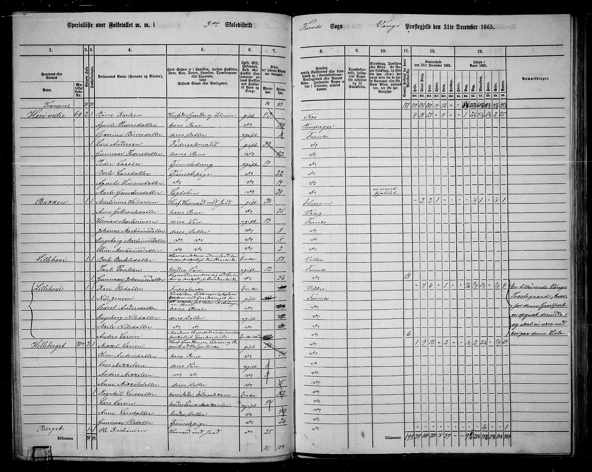 RA, 1865 census for Vang/Vang og Furnes, 1865, p. 74