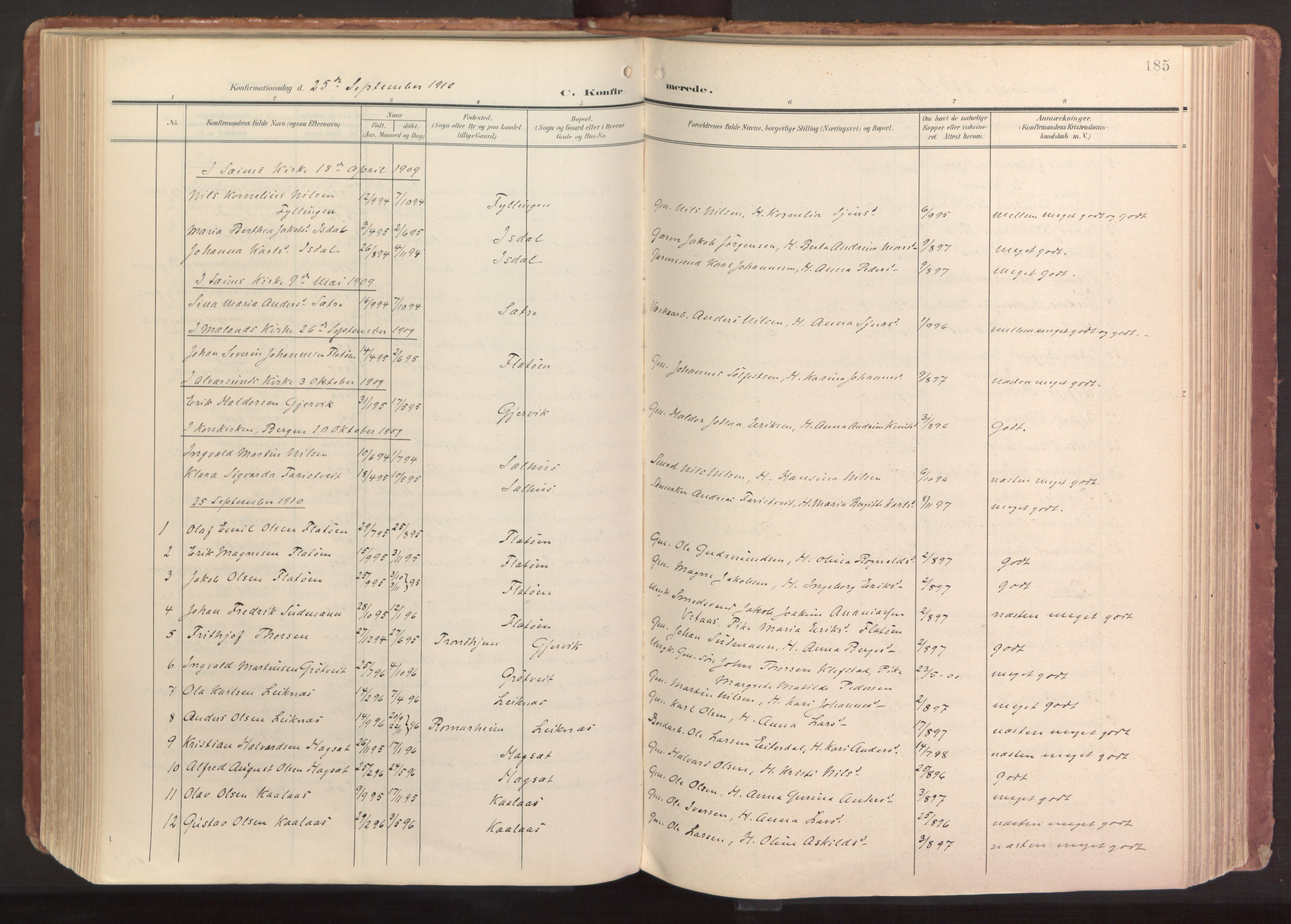 Hamre sokneprestembete, SAB/A-75501/H/Ha/Haa/Haab/L0002: Parish register (official) no. B 2, 1905-1924, p. 185