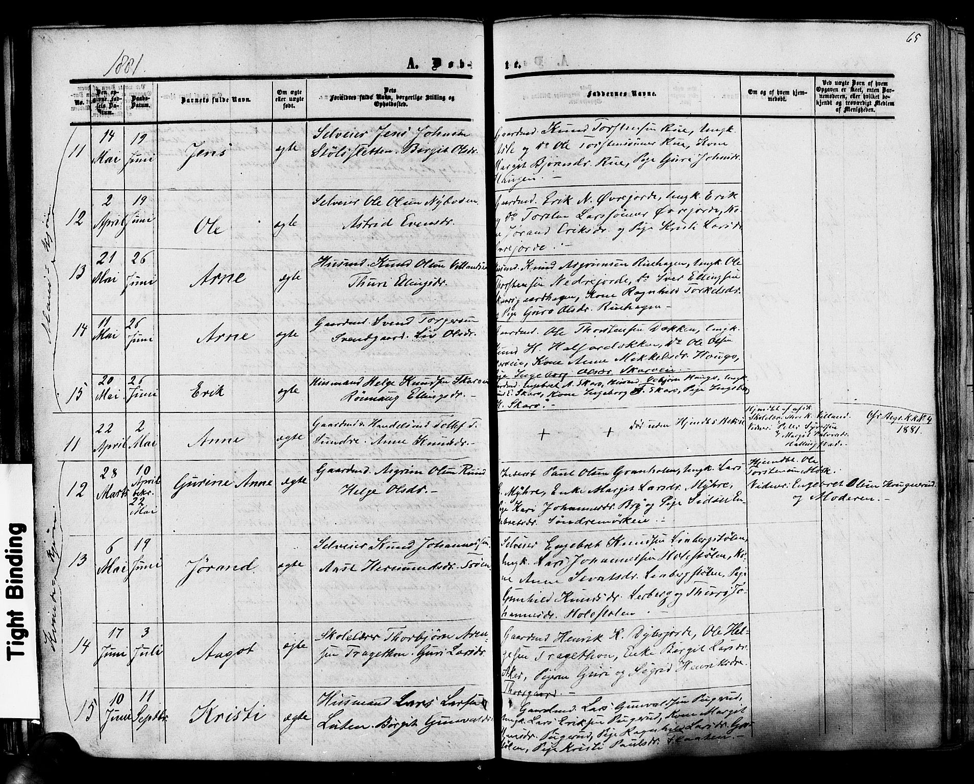 Hol kirkebøker, AV/SAKO-A-227/F/Fa/L0002: Parish register (official) no. I 2, 1870-1886, p. 65