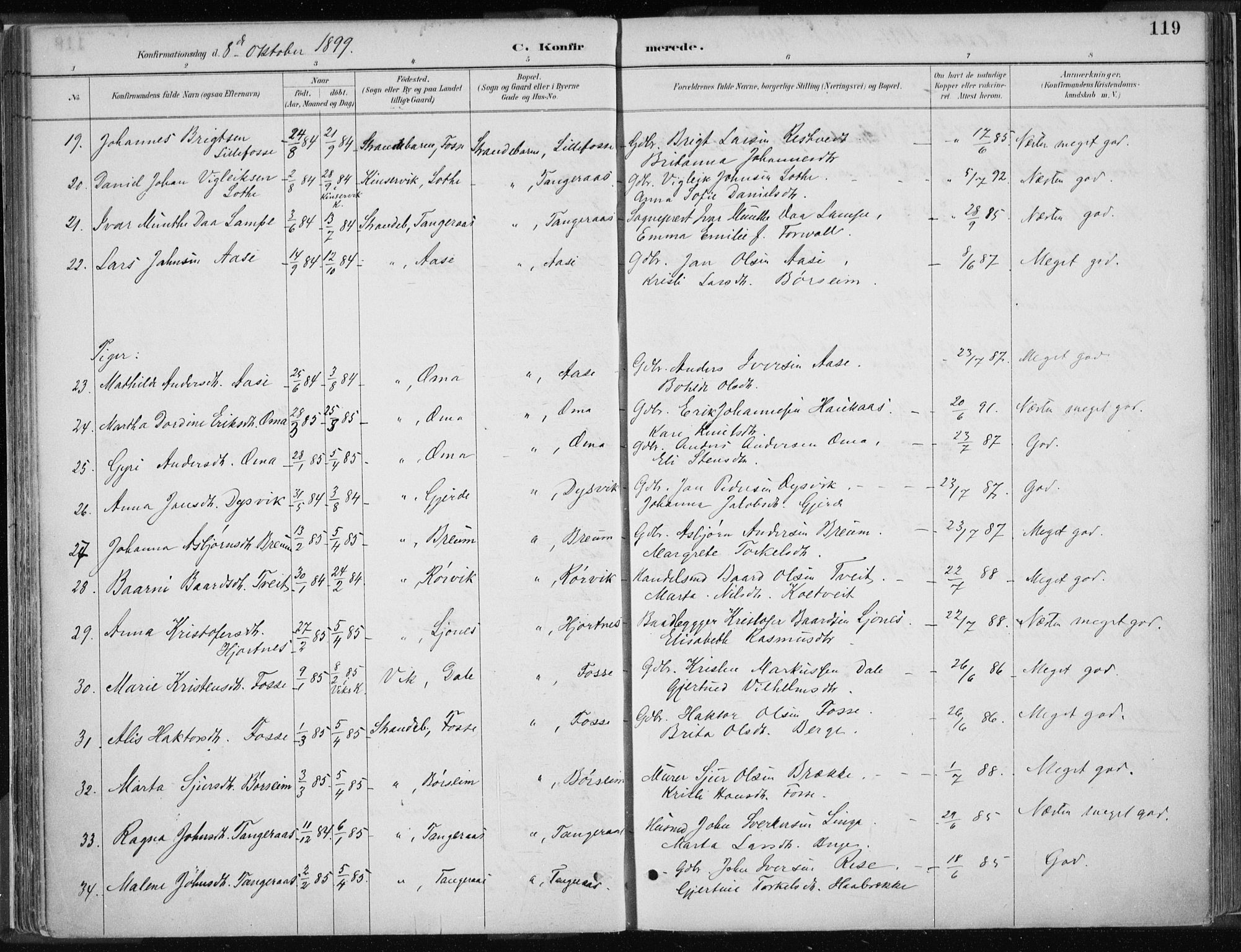 Strandebarm sokneprestembete, AV/SAB-A-78401/H/Haa: Parish register (official) no. B  1, 1886-1908, p. 119