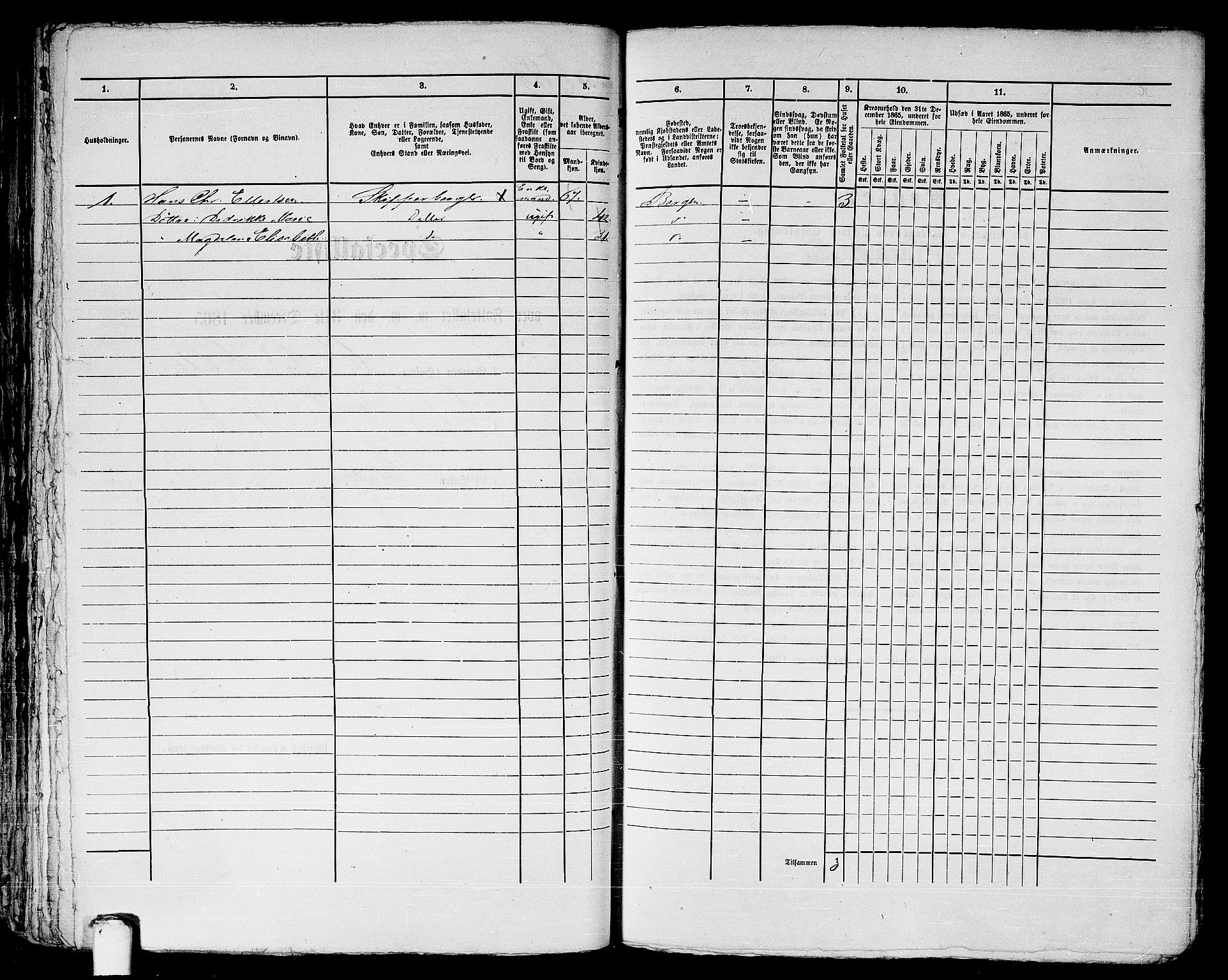 RA, 1865 census for Bergen, 1865, p. 1227