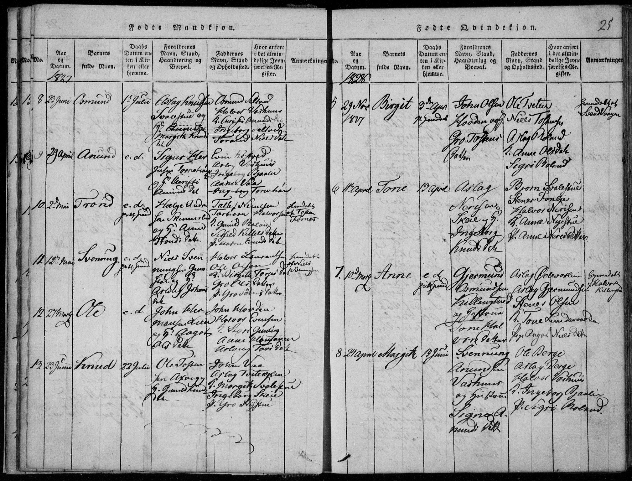 Rauland kirkebøker, AV/SAKO-A-292/F/Fa/L0001: Parish register (official) no. I 1, 1814-1859, p. 25