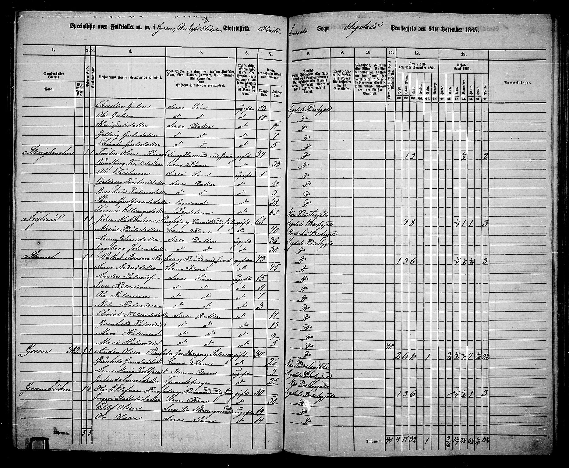 RA, 1865 census for Sigdal, 1865, p. 218