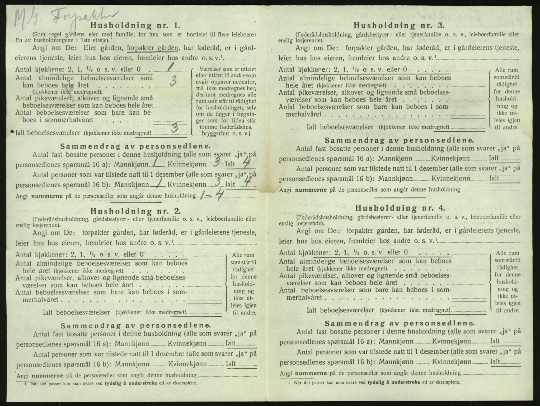SAKO, 1920 census for Brunlanes, 1920, p. 734