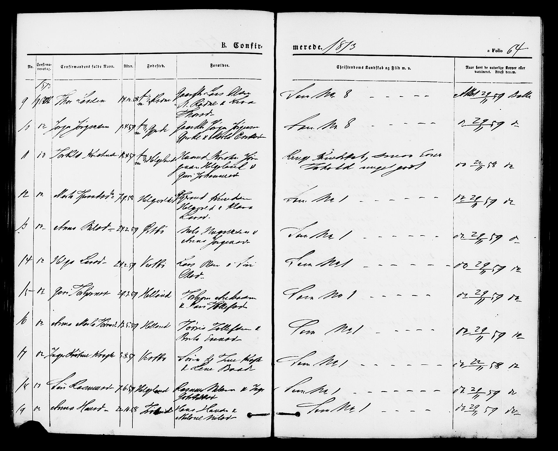 Vikedal sokneprestkontor, AV/SAST-A-101840/01/IV: Parish register (official) no. A 8, 1868-1885, p. 64