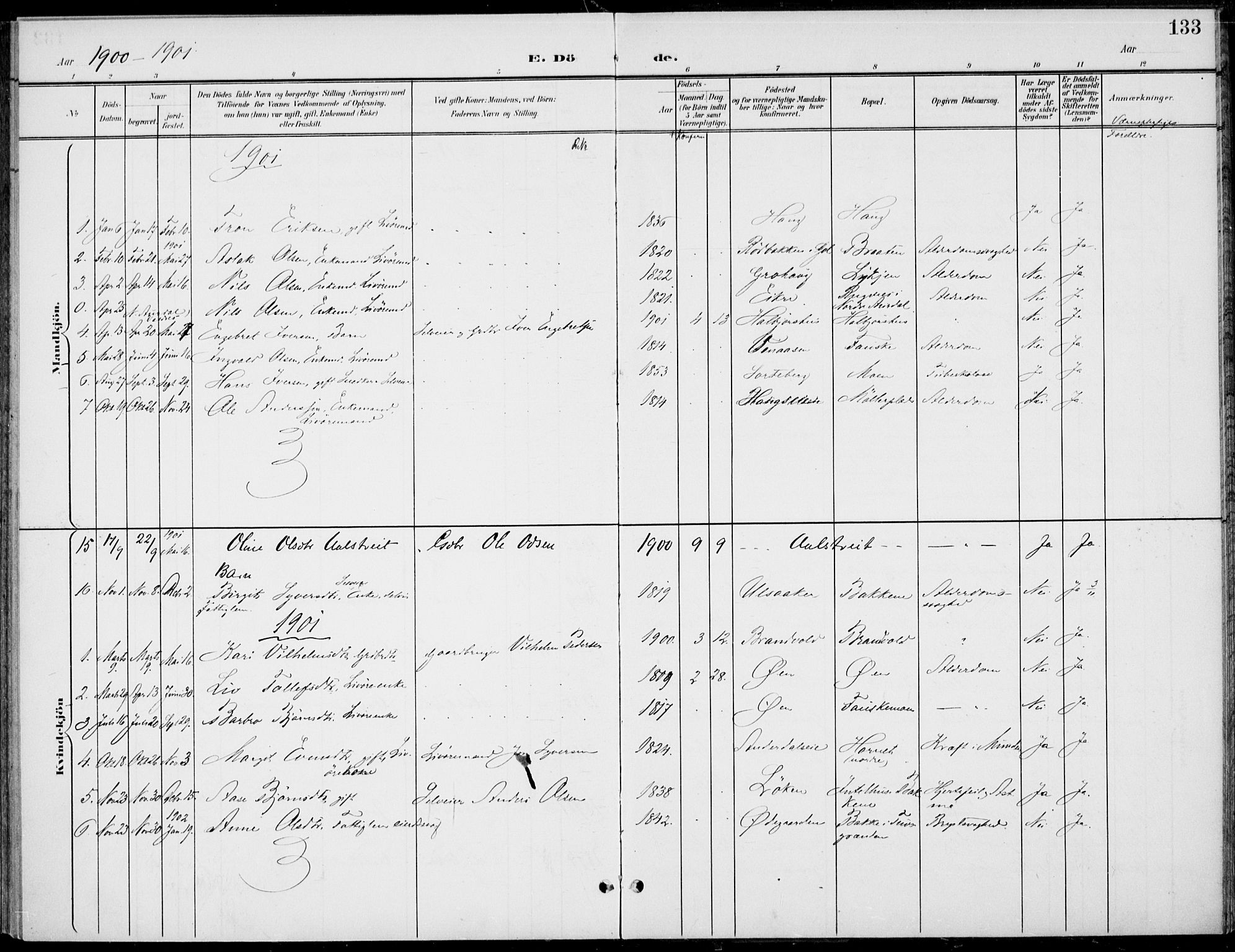 Gol kirkebøker, AV/SAKO-A-226/F/Fb/L0002: Parish register (official) no. II 2, 1900-1921, p. 133