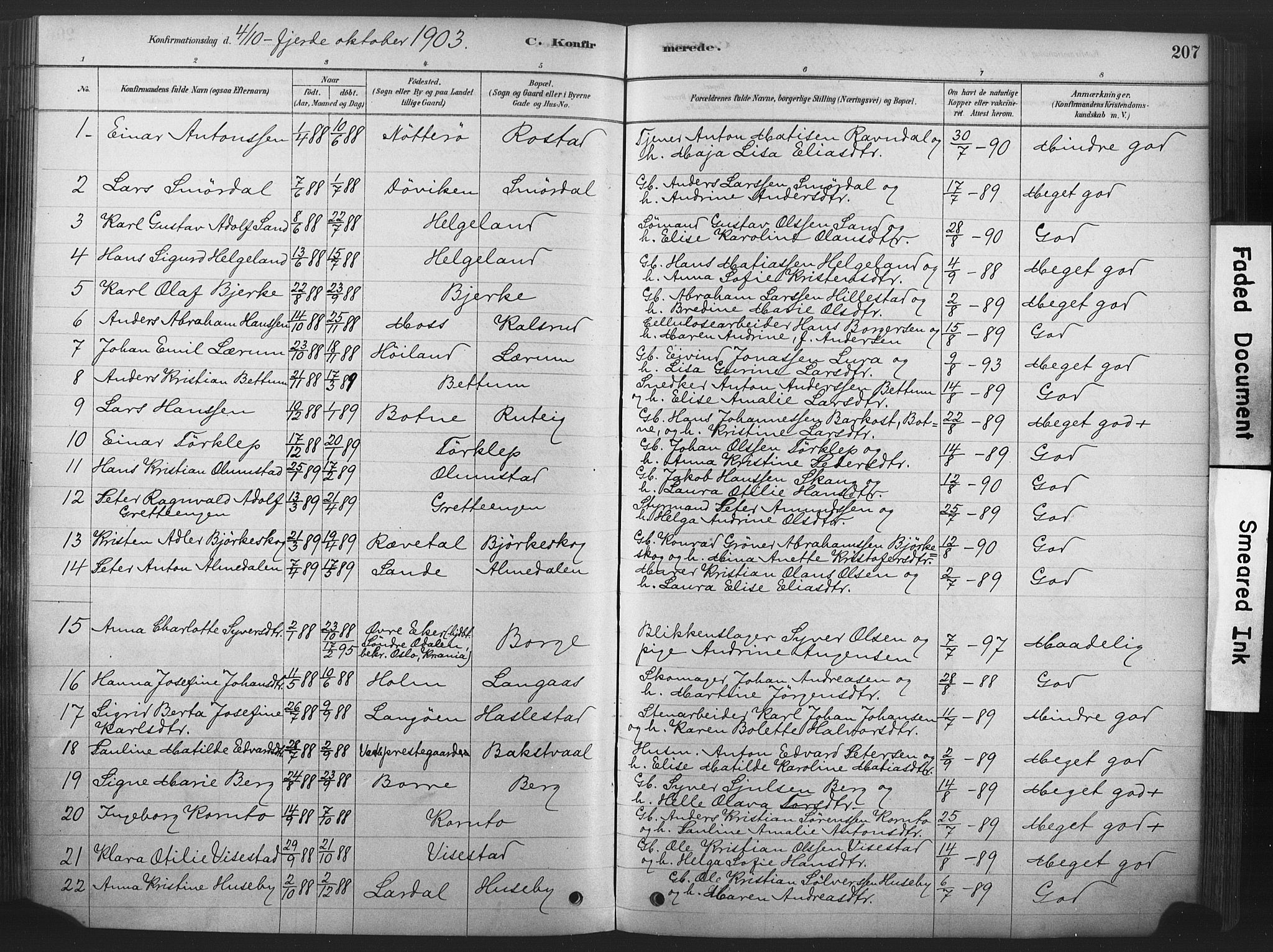 Våle kirkebøker, AV/SAKO-A-334/F/Fa/L0011: Parish register (official) no. I 11, 1878-1906, p. 207