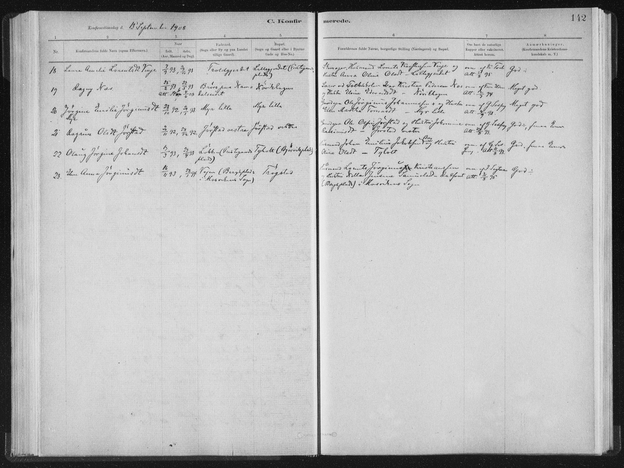 Ministerialprotokoller, klokkerbøker og fødselsregistre - Nord-Trøndelag, SAT/A-1458/722/L0220: Parish register (official) no. 722A07, 1881-1908, p. 142