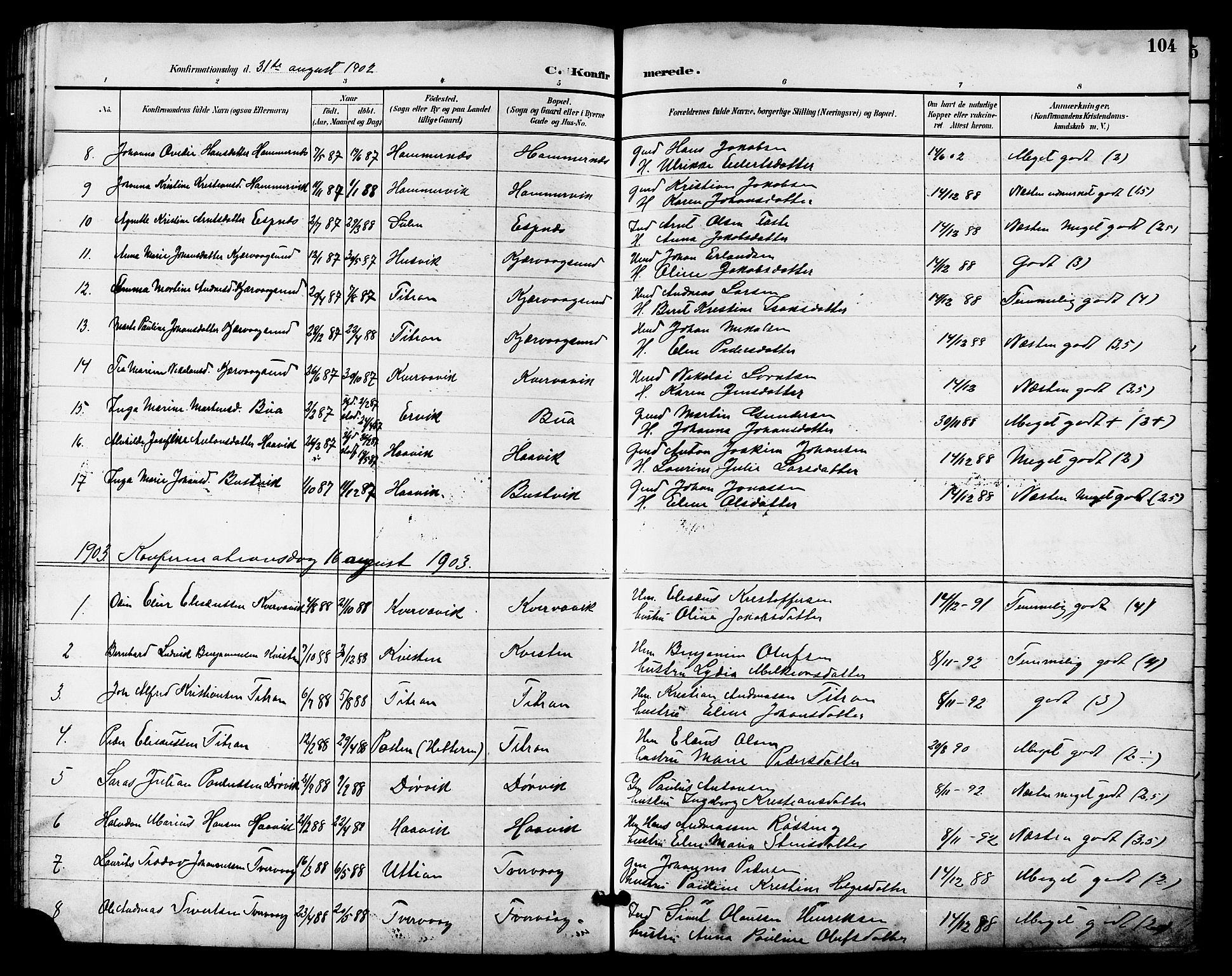 Ministerialprotokoller, klokkerbøker og fødselsregistre - Sør-Trøndelag, SAT/A-1456/641/L0598: Parish register (copy) no. 641C02, 1893-1910, p. 104