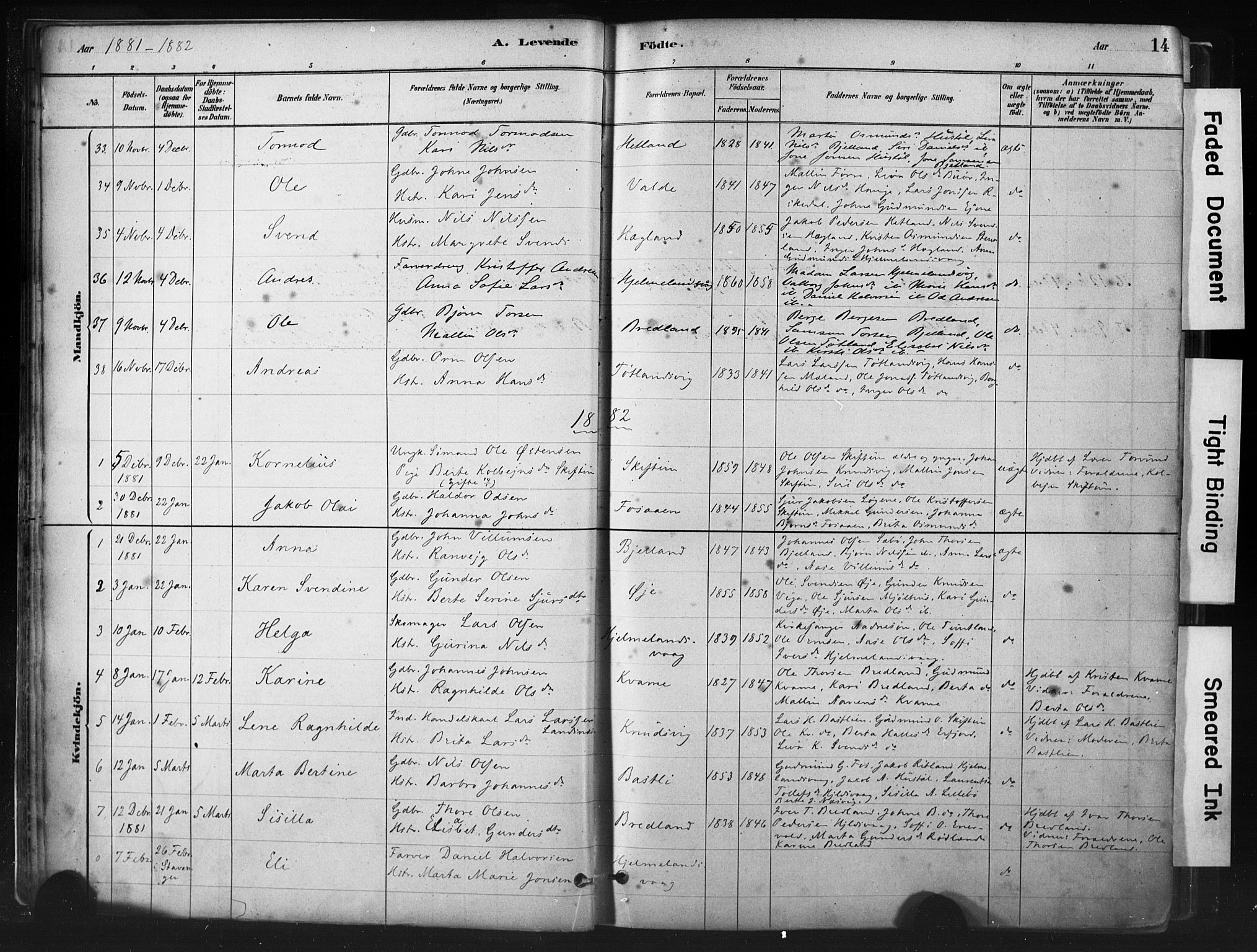 Hjelmeland sokneprestkontor, AV/SAST-A-101843/01/IV/L0014: Parish register (official) no. A 14, 1879-1900, p. 14