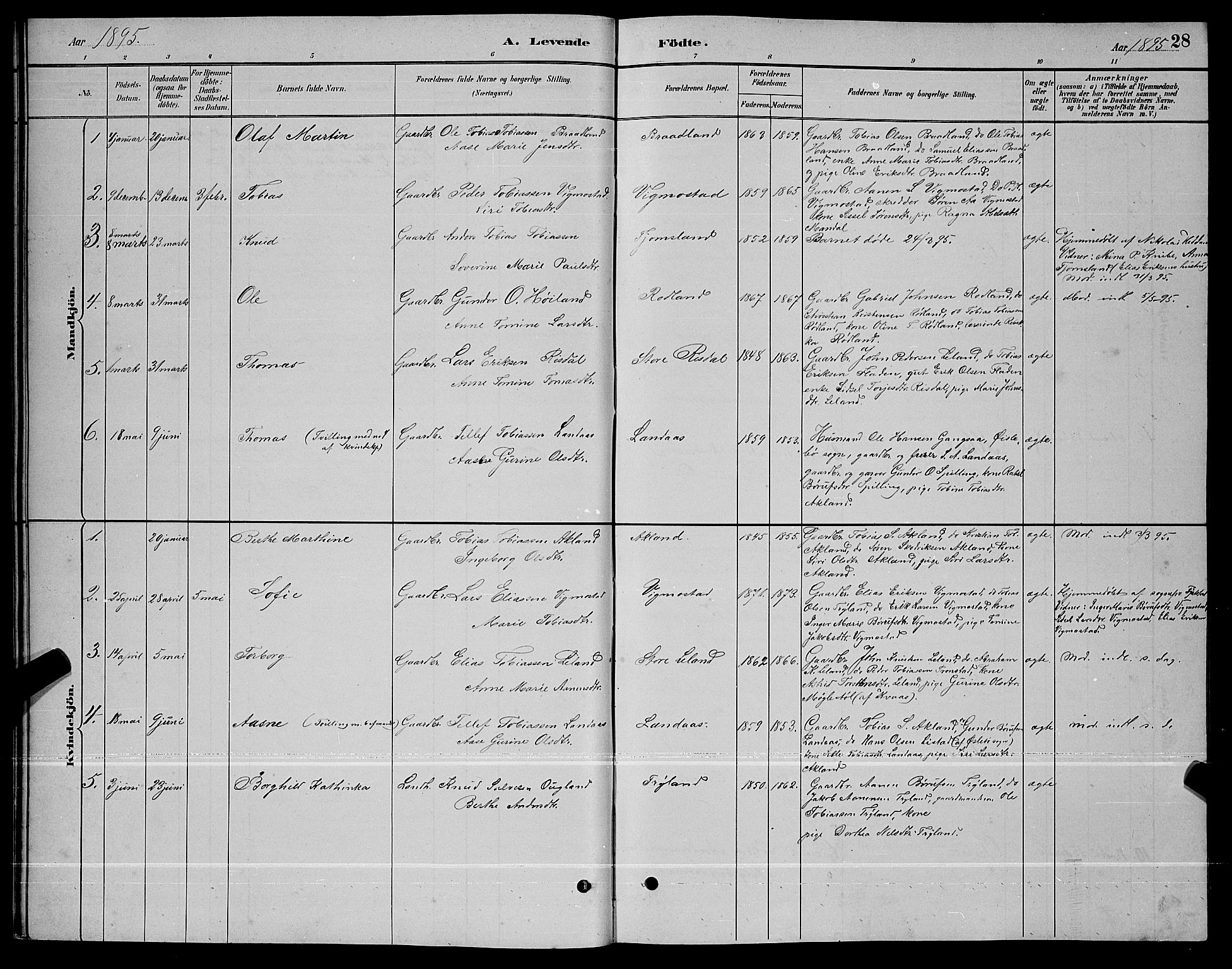 Nord-Audnedal sokneprestkontor, AV/SAK-1111-0032/F/Fb/Fbb/L0003: Parish register (copy) no. B 3, 1882-1900, p. 28