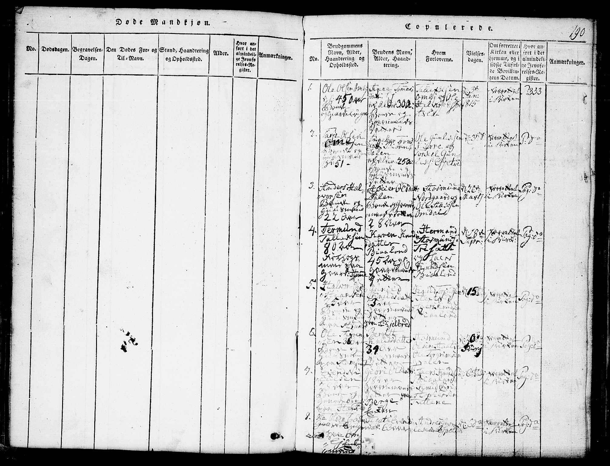 Lårdal kirkebøker, SAKO/A-284/G/Ga/L0001: Parish register (copy) no. I 1, 1815-1861, p. 190
