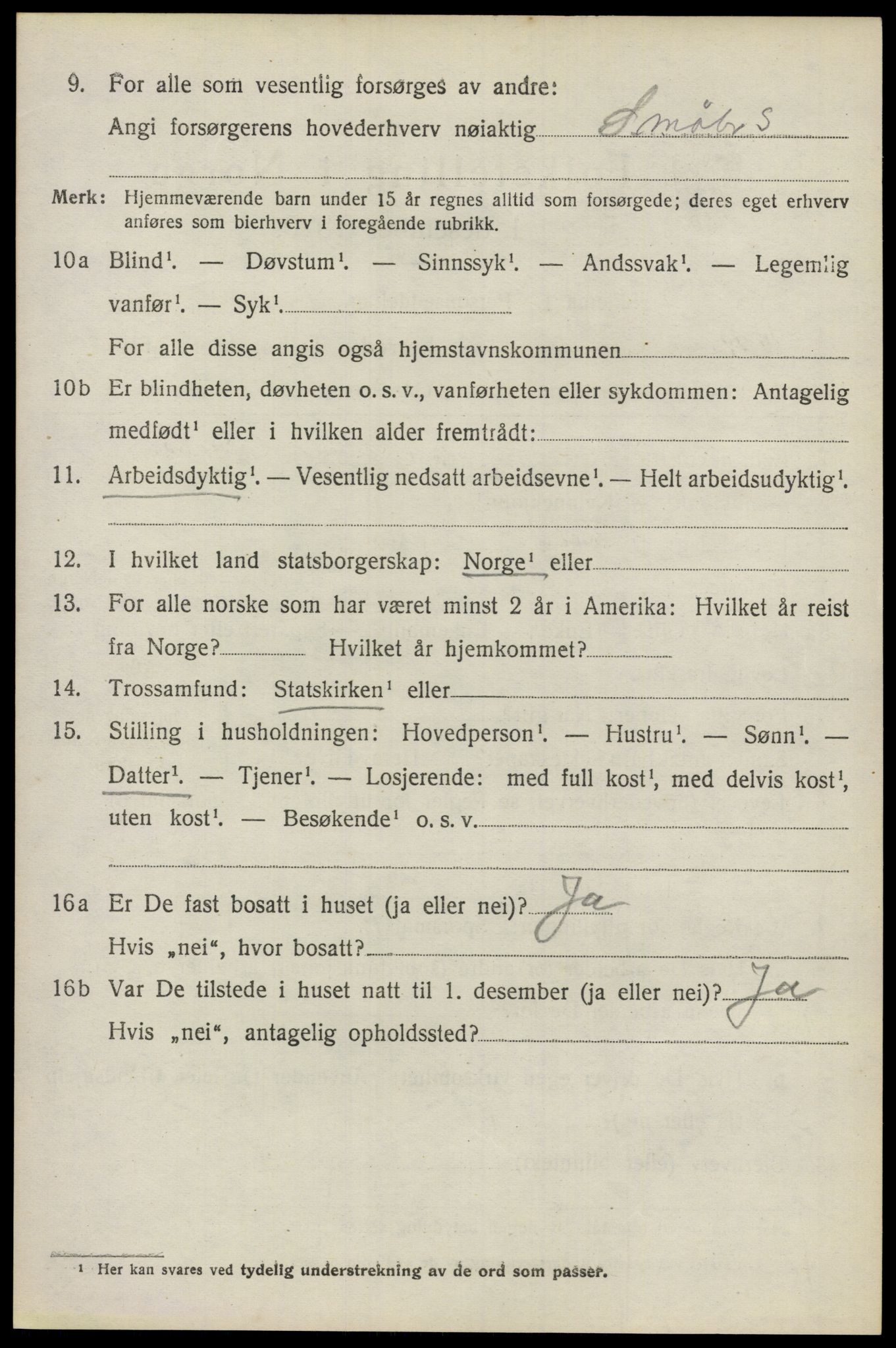 SAO, 1920 census for Nes, 1920, p. 7629