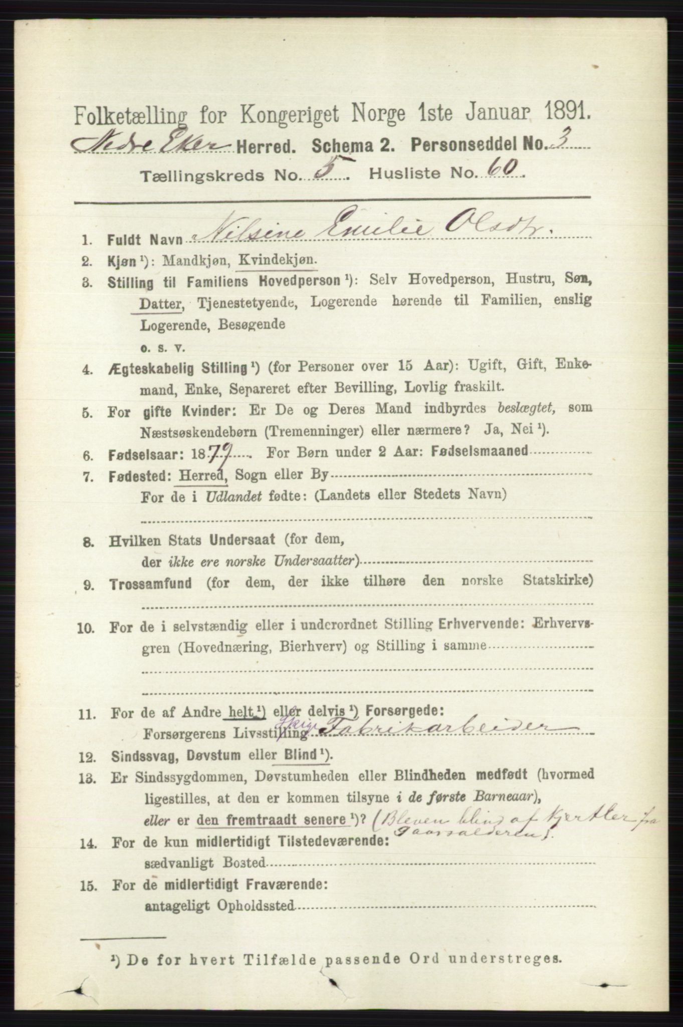 RA, 1891 census for 0625 Nedre Eiker, 1891, p. 2695