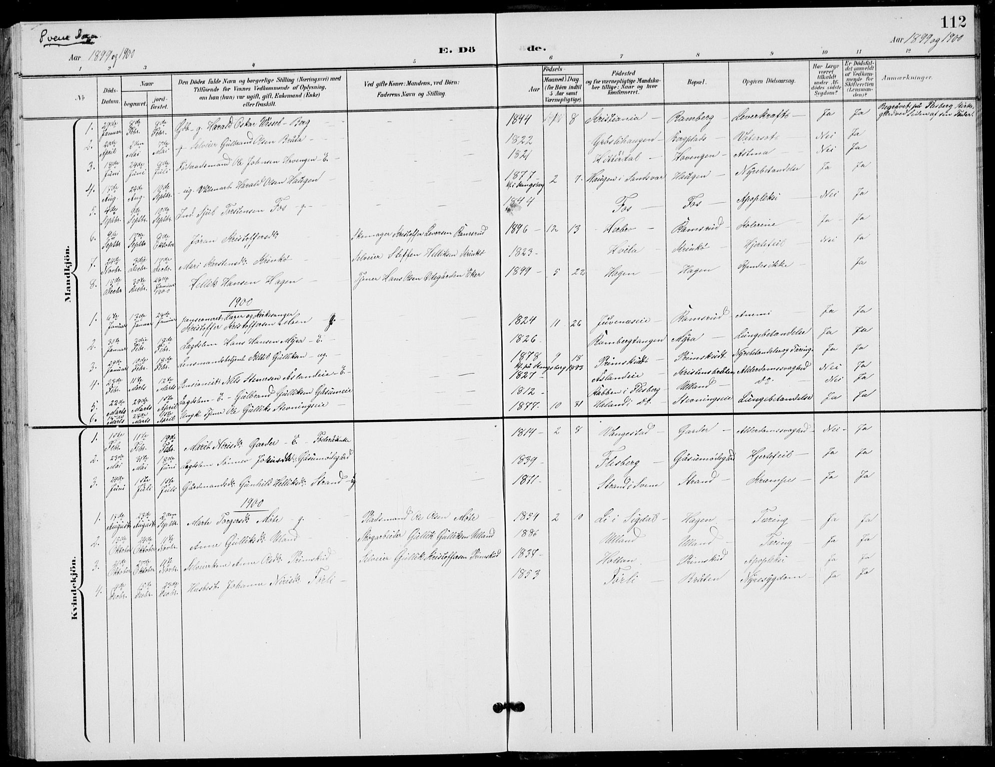 Flesberg kirkebøker, SAKO/A-18/G/Ga/L0005: Parish register (copy) no. I 5, 1899-1908, p. 112