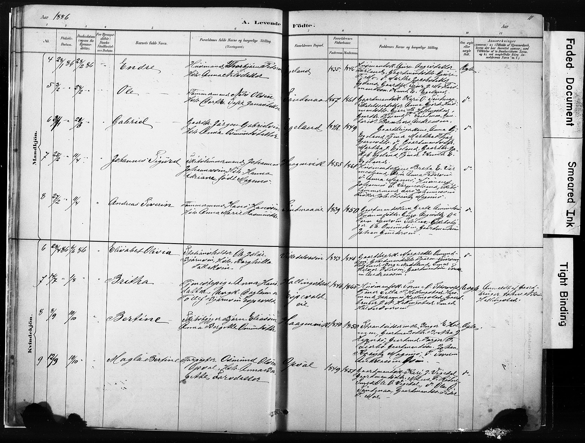 Vikedal sokneprestkontor, AV/SAST-A-101840/01/IV: Parish register (official) no. A 10, 1884-1907, p. 11