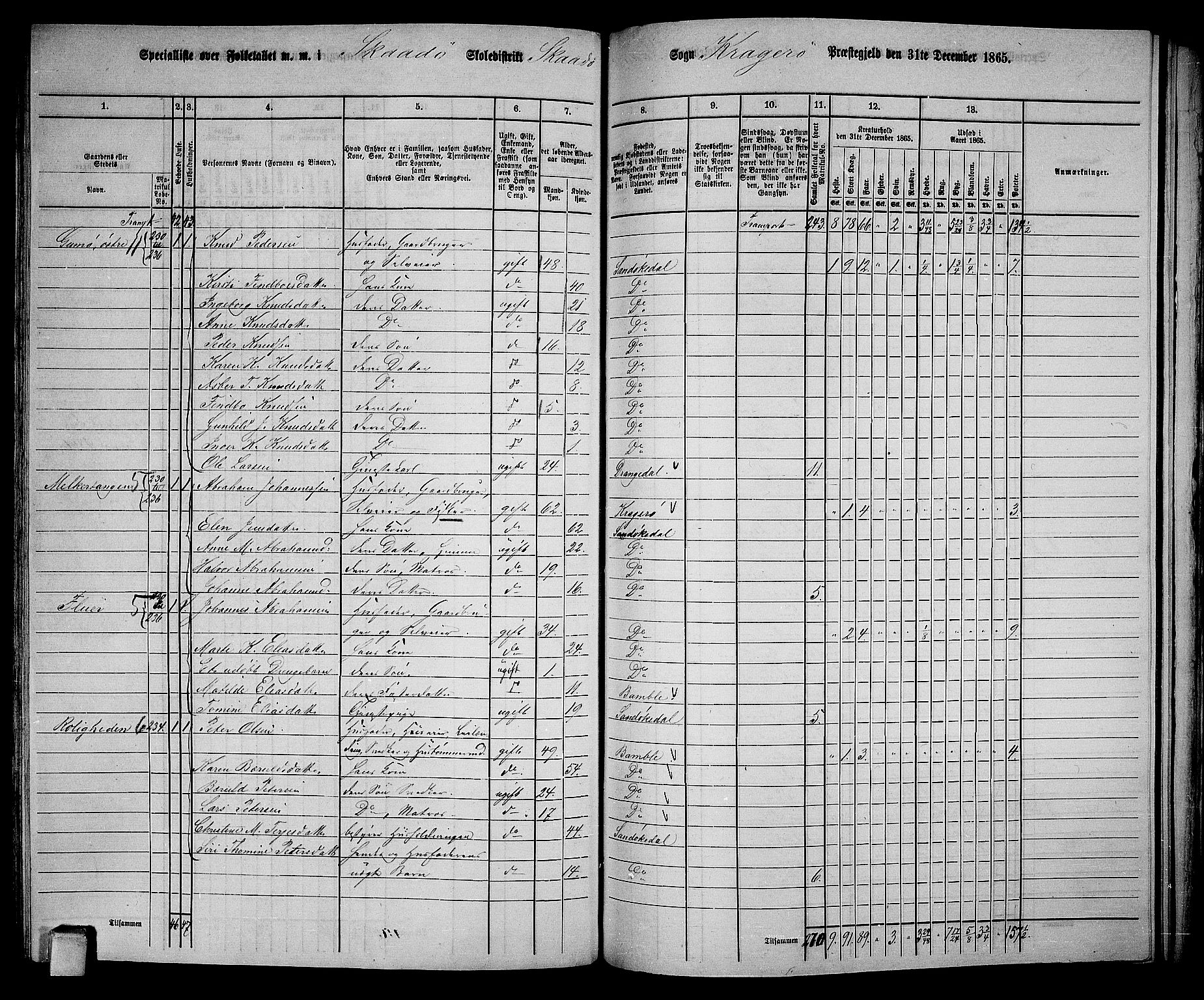 RA, 1865 census for Kragerø/Sannidal og Skåtøy, 1865, p. 185