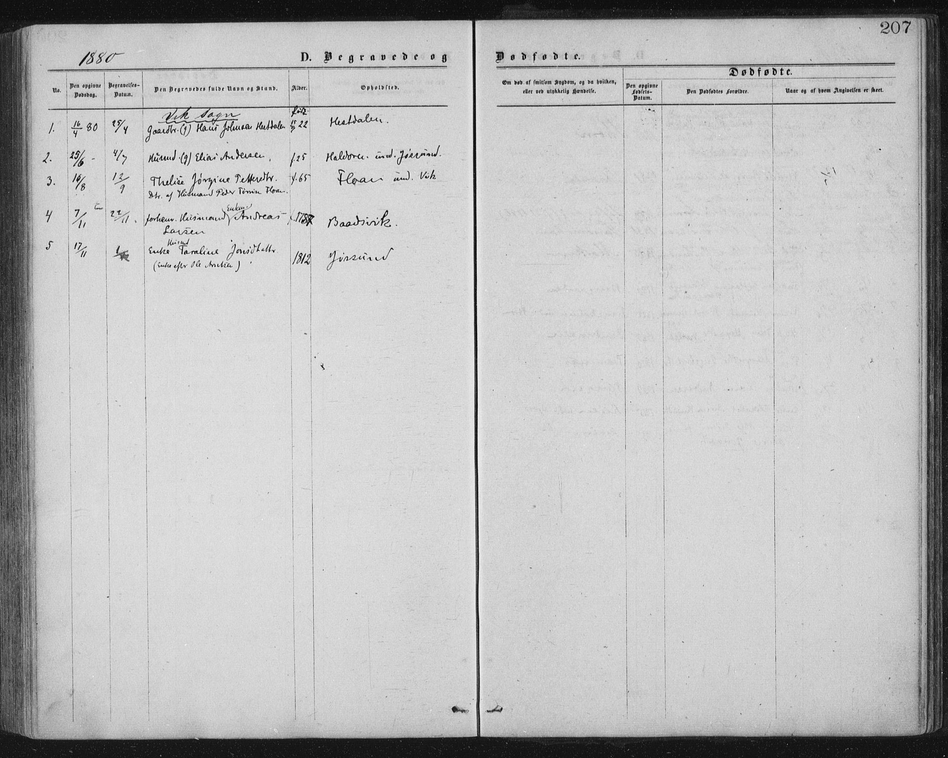 Ministerialprotokoller, klokkerbøker og fødselsregistre - Nord-Trøndelag, AV/SAT-A-1458/771/L0596: Parish register (official) no. 771A03, 1870-1884, p. 207