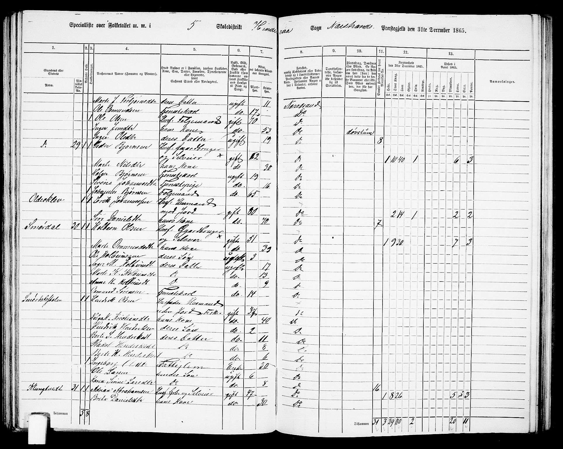 RA, 1865 census for Nedstrand, 1865, p. 71