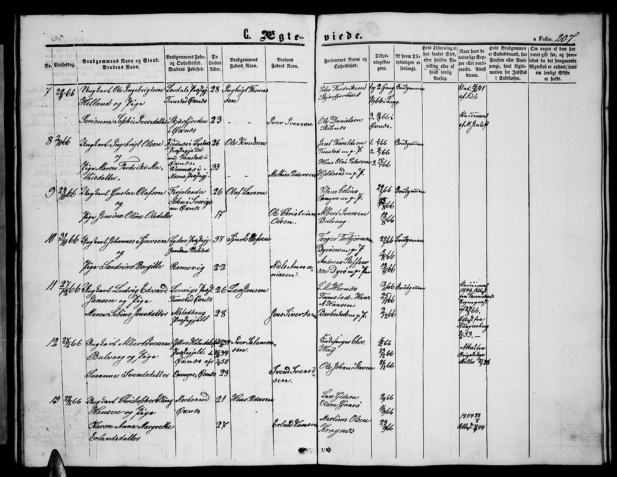 Ministerialprotokoller, klokkerbøker og fødselsregistre - Nordland, AV/SAT-A-1459/893/L1347: Parish register (copy) no. 893C02, 1858-1866, p. 207