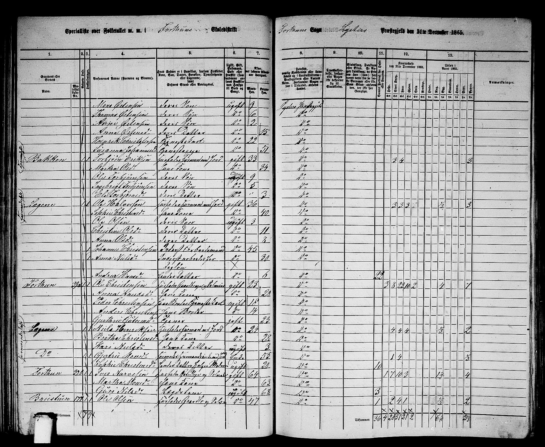 RA, 1865 census for Luster, 1865, p. 37