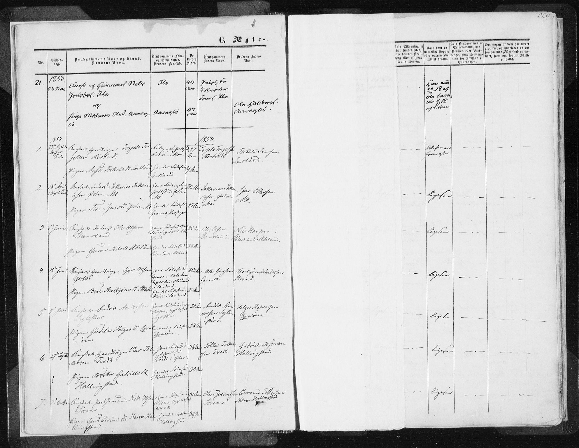 Vikedal sokneprestkontor, AV/SAST-A-101840/01/IV: Parish register (official) no. A 6.2, 1851-1867, p. 229