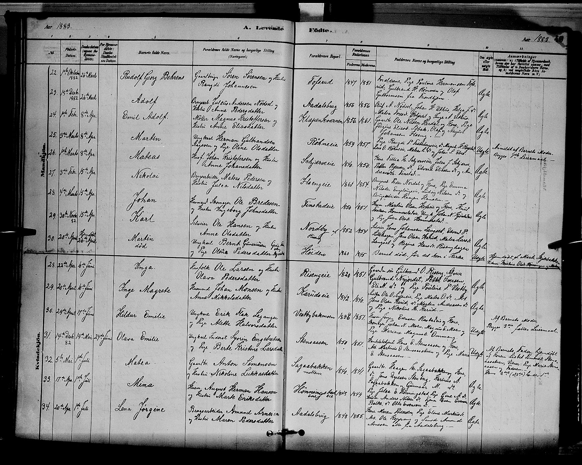 Løten prestekontor, AV/SAH-PREST-022/L/La/L0005: Parish register (copy) no. 5, 1878-1891, p. 49