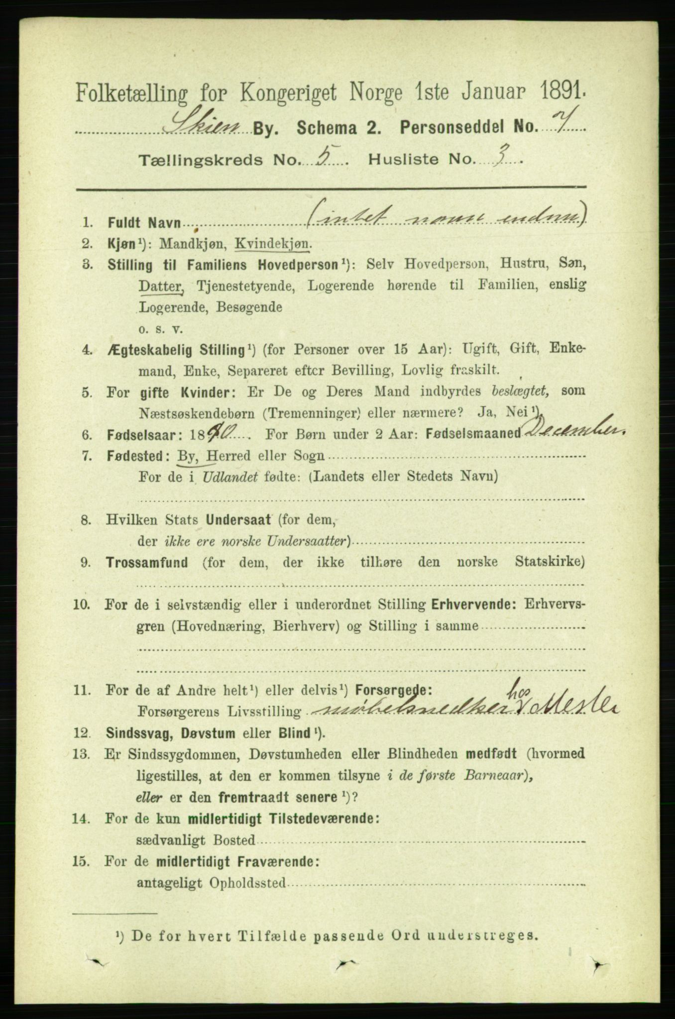 RA, 1891 census for 0806 Skien, 1891, p. 2909