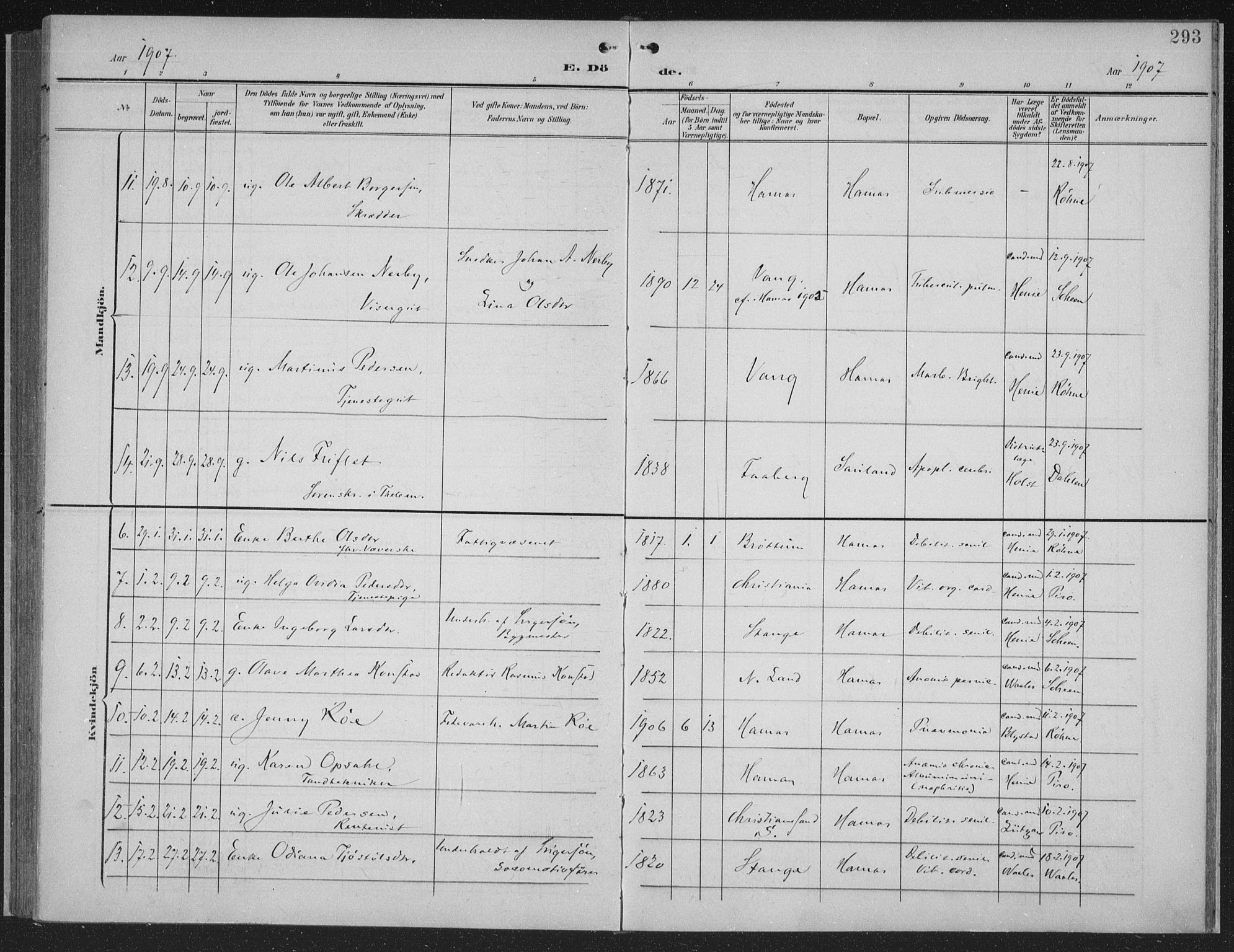 Hamar prestekontor, SAH/DOMPH-002/H/Ha/Haa/L0001: Parish register (official) no. 1, 1900-1914, p. 293
