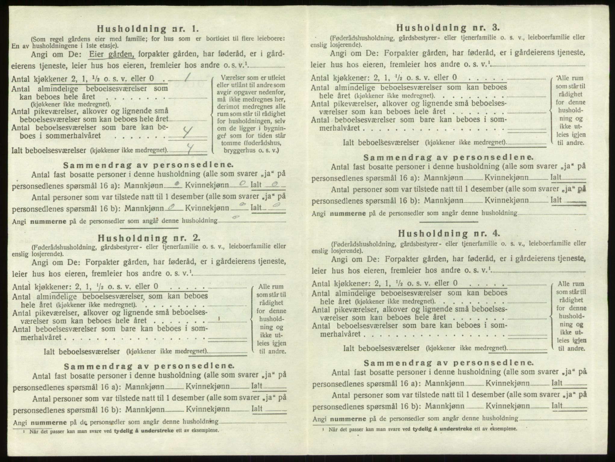 SAO, 1920 census for Skjeberg, 1920, p. 290