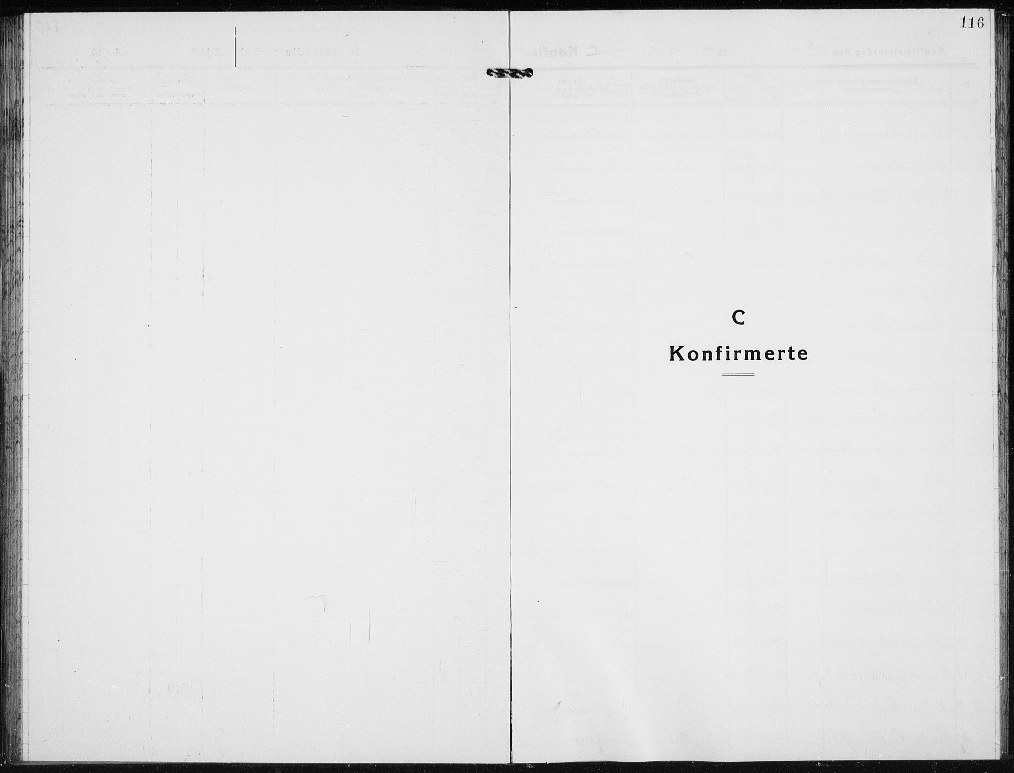Jevnaker prestekontor, SAH/PREST-116/H/Ha/Hab/L0005: Parish register (copy) no. 5, 1919-1934, p. 116