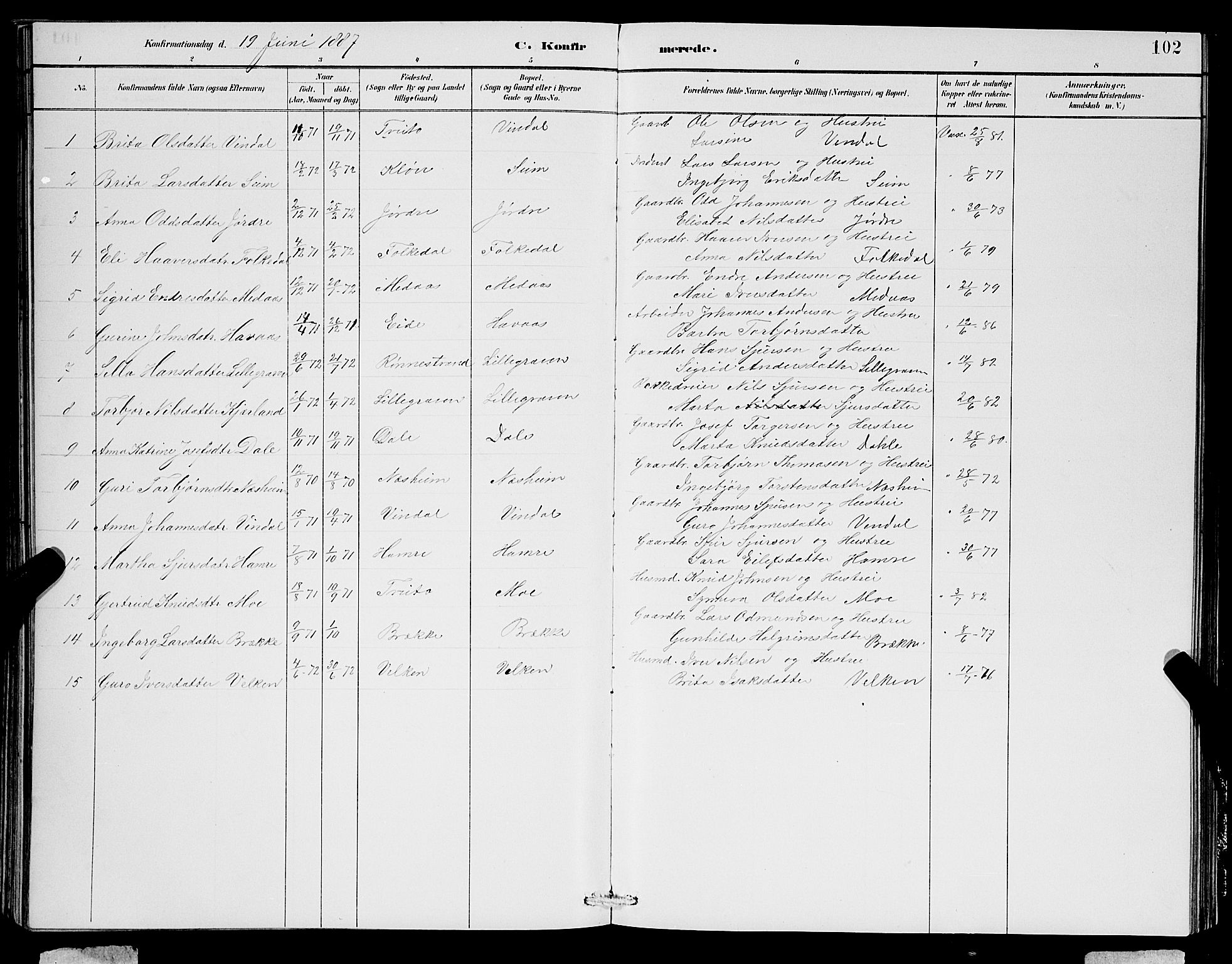Ulvik sokneprestembete, SAB/A-78801/H/Hab: Parish register (copy) no. B 3, 1884-1901, p. 102