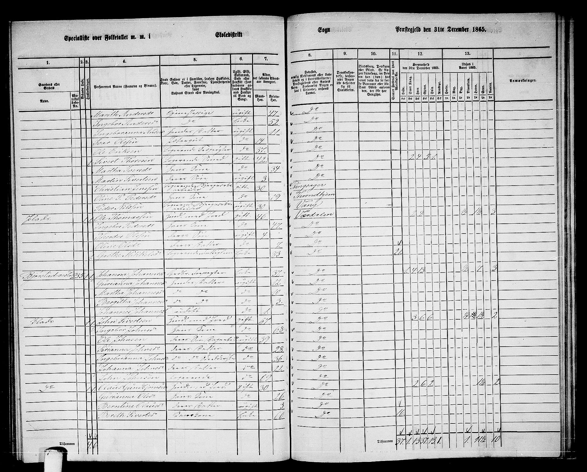 RA, 1865 census for Verdal, 1865, p. 242