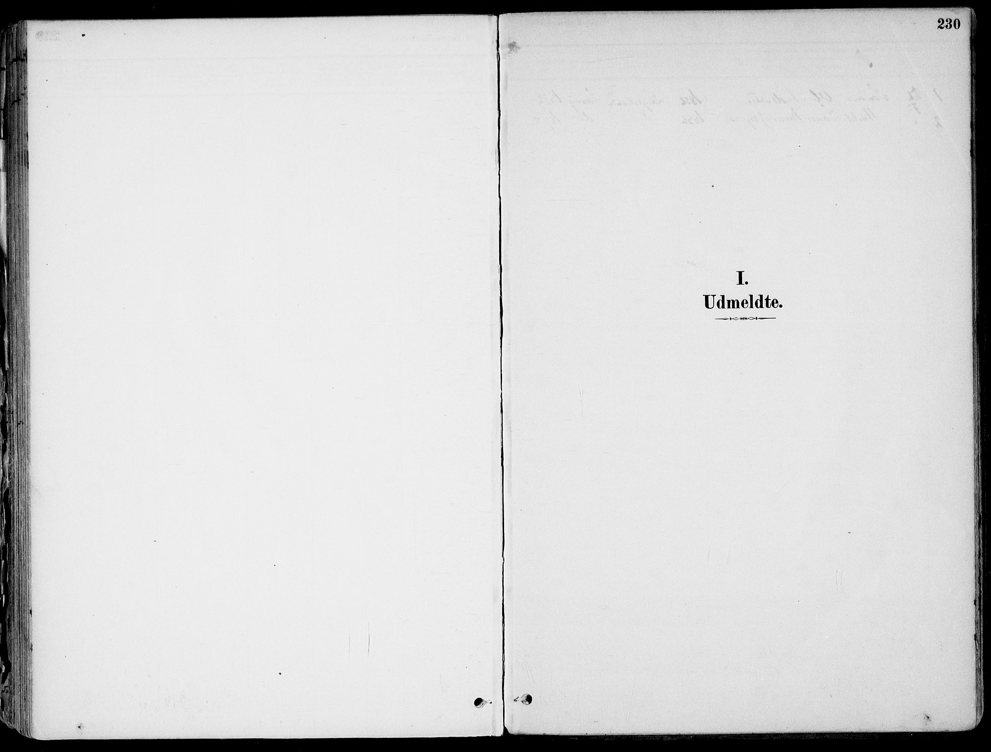 Larvik kirkebøker, AV/SAKO-A-352/F/Fb/L0004: Parish register (official) no. II 4, 1884-1902, p. 230