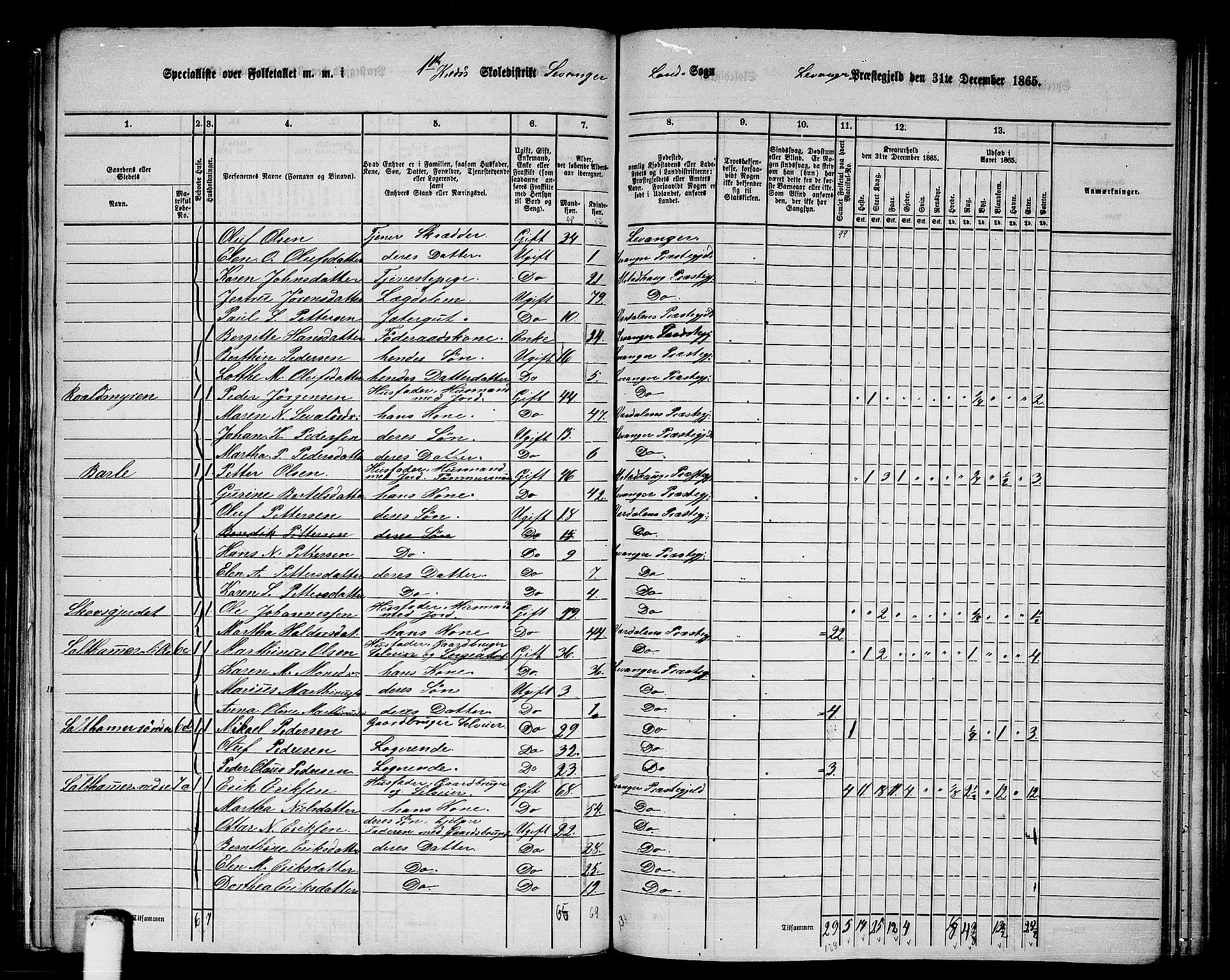 RA, 1865 census for Levanger/Levanger, 1865, p. 9