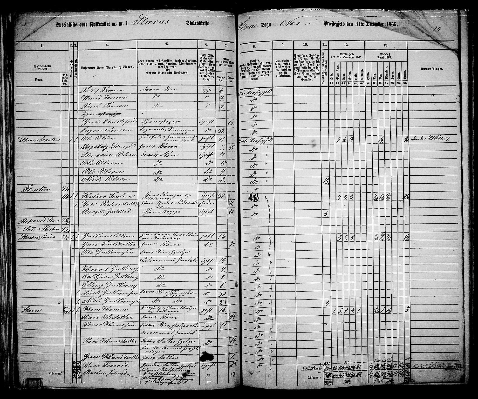 RA, 1865 census for Nes, 1865, p. 88