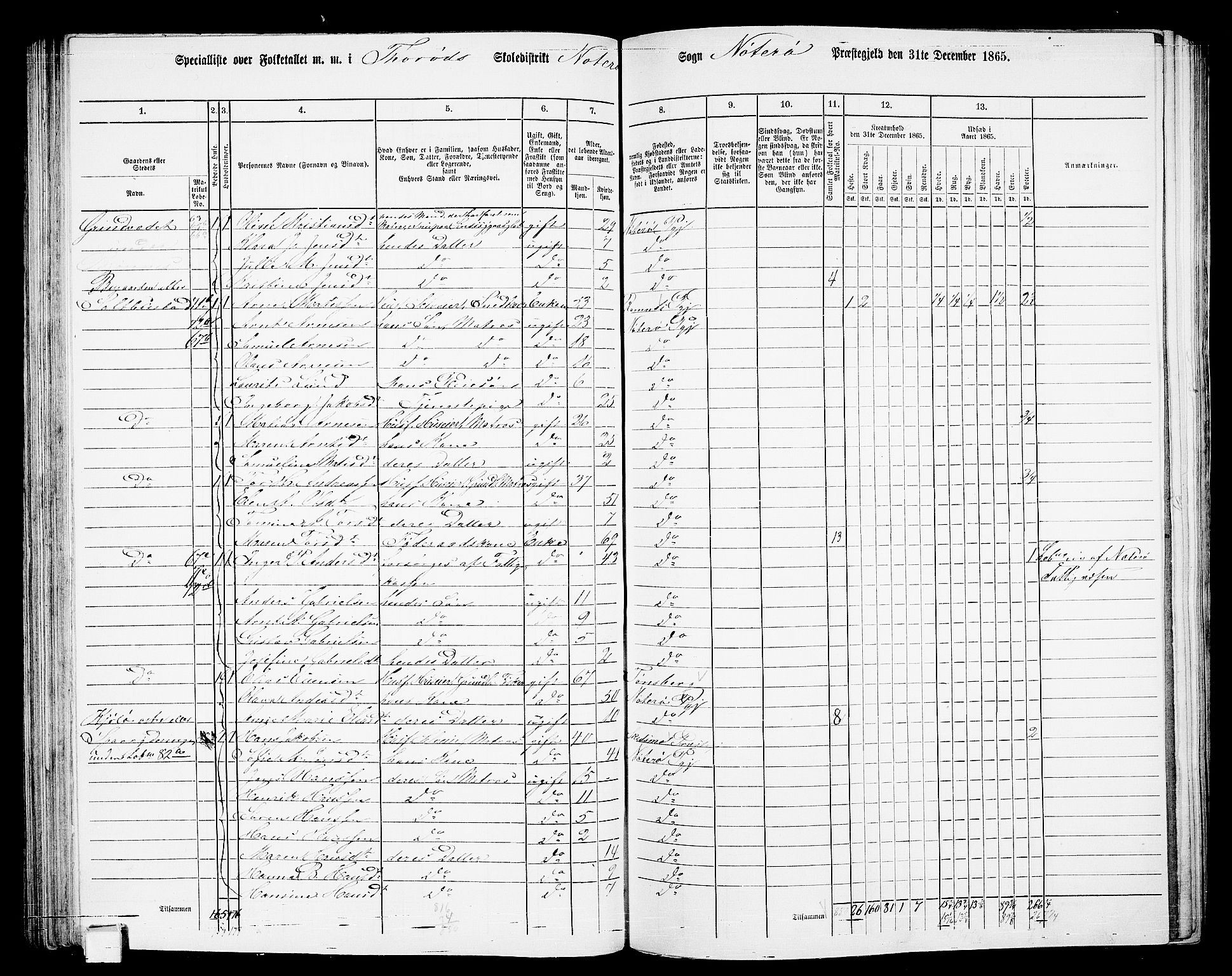 RA, 1865 census for Nøtterøy, 1865, p. 121