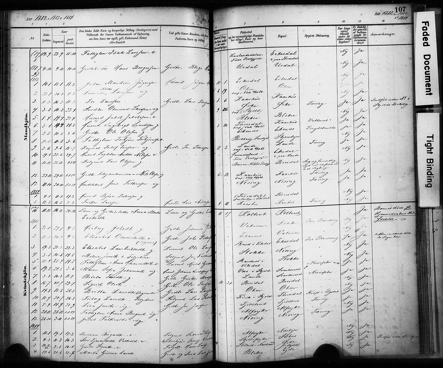 Skjold sokneprestkontor, SAST/A-101847/H/Ha/Haa/L0009: Parish register (official) no. A 9, 1882-1898, p. 107