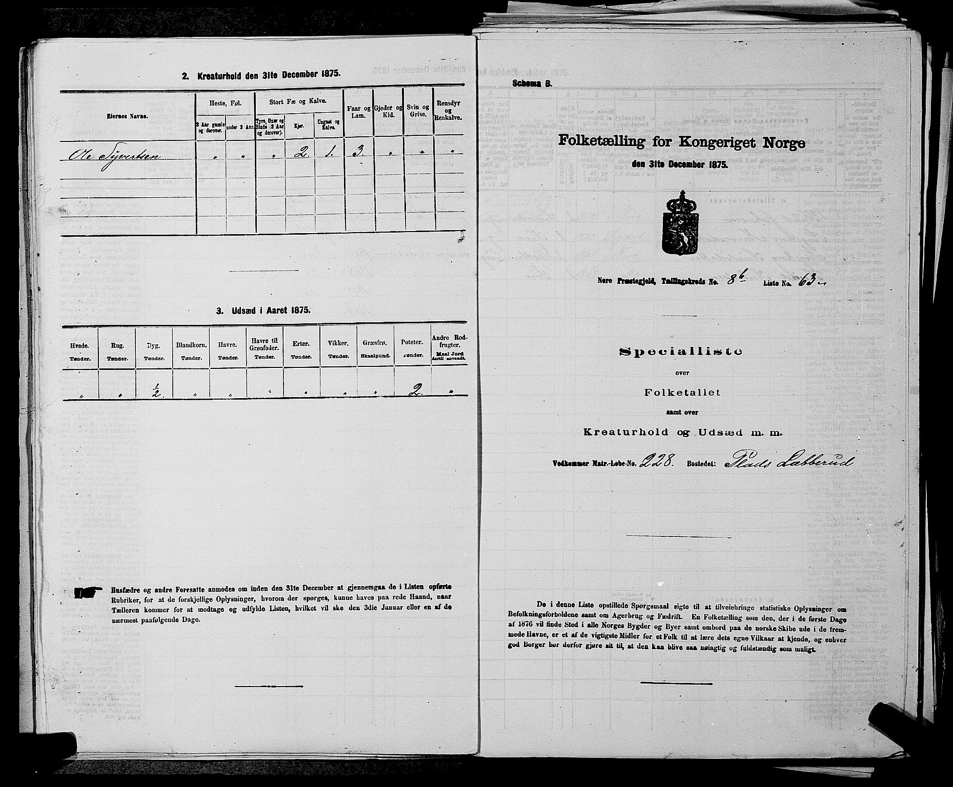 SAKO, 1875 census for 0633P Nore, 1875, p. 1011