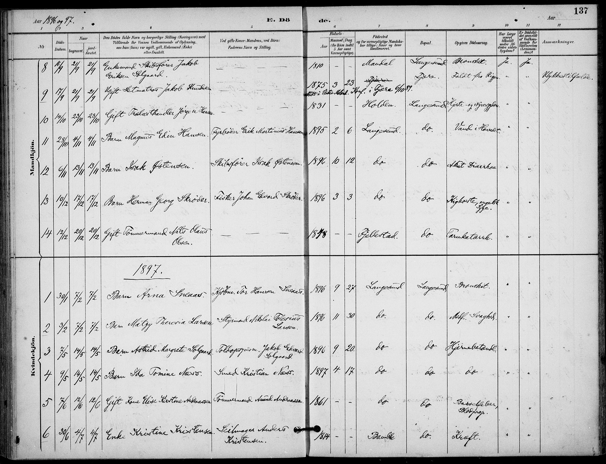 Langesund kirkebøker, SAKO/A-280/F/Fa/L0003: Parish register (official) no. 3, 1893-1907, p. 137