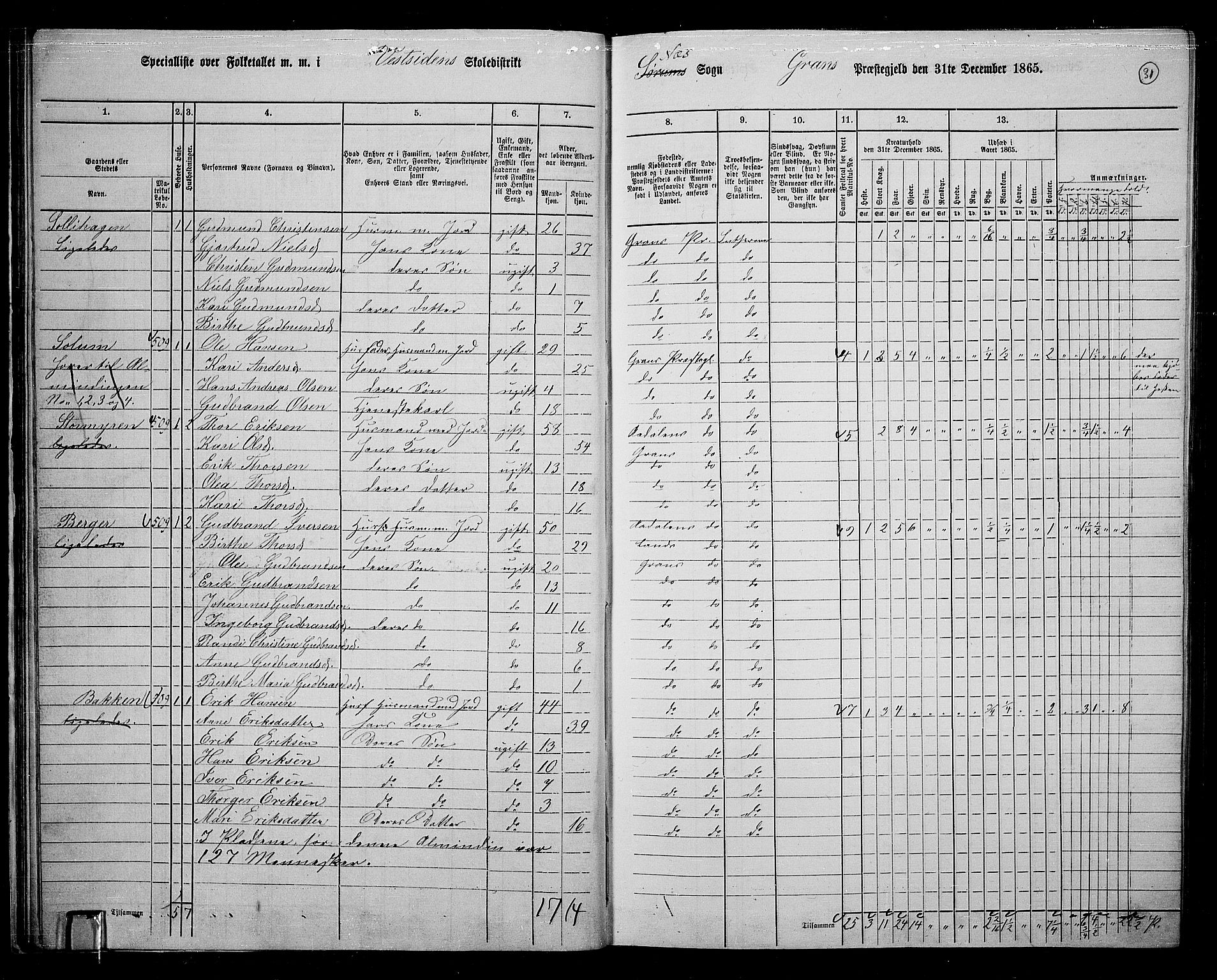 RA, 1865 census for Gran, 1865, p. 219