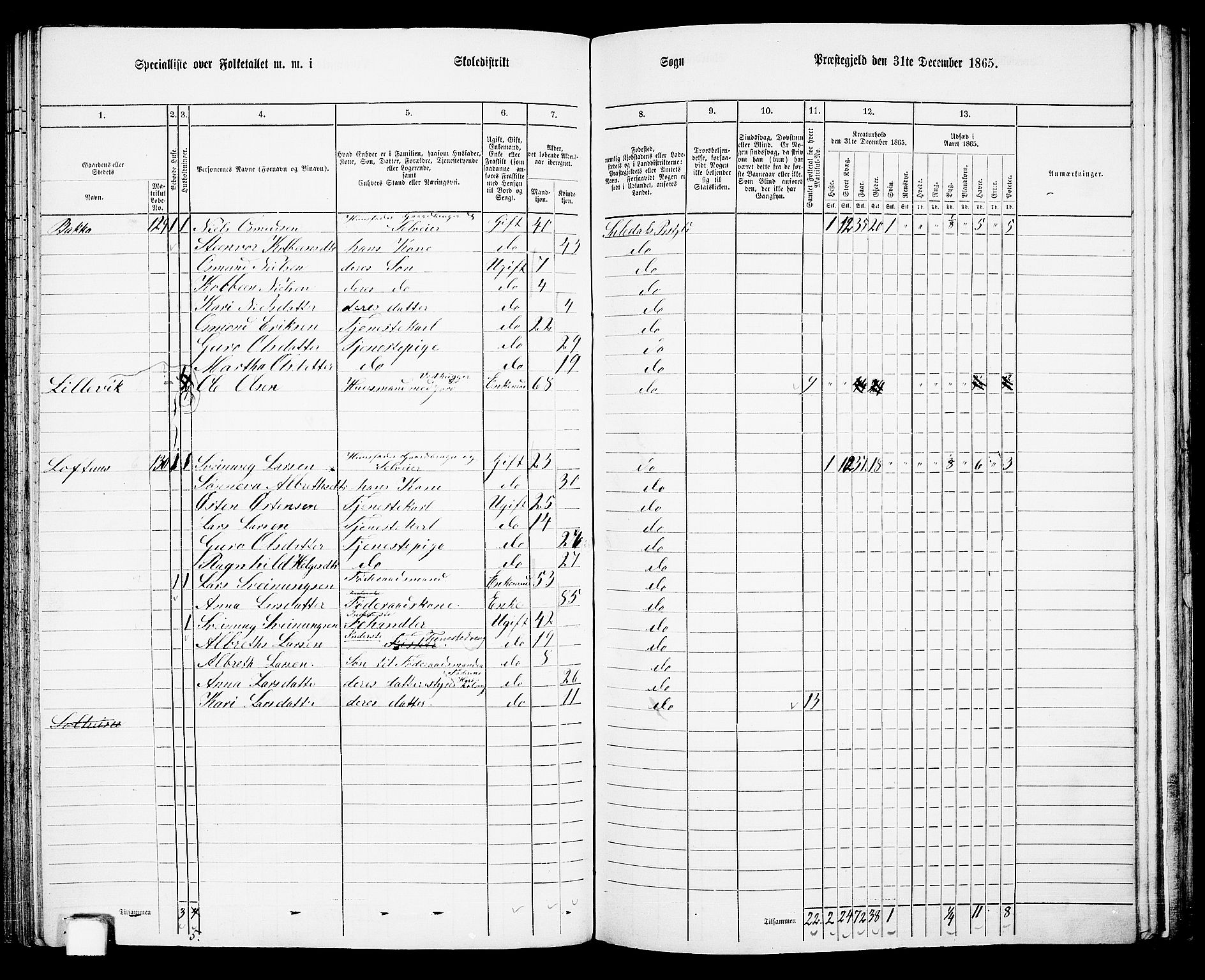 RA, 1865 census for Suldal, 1865, p. 79