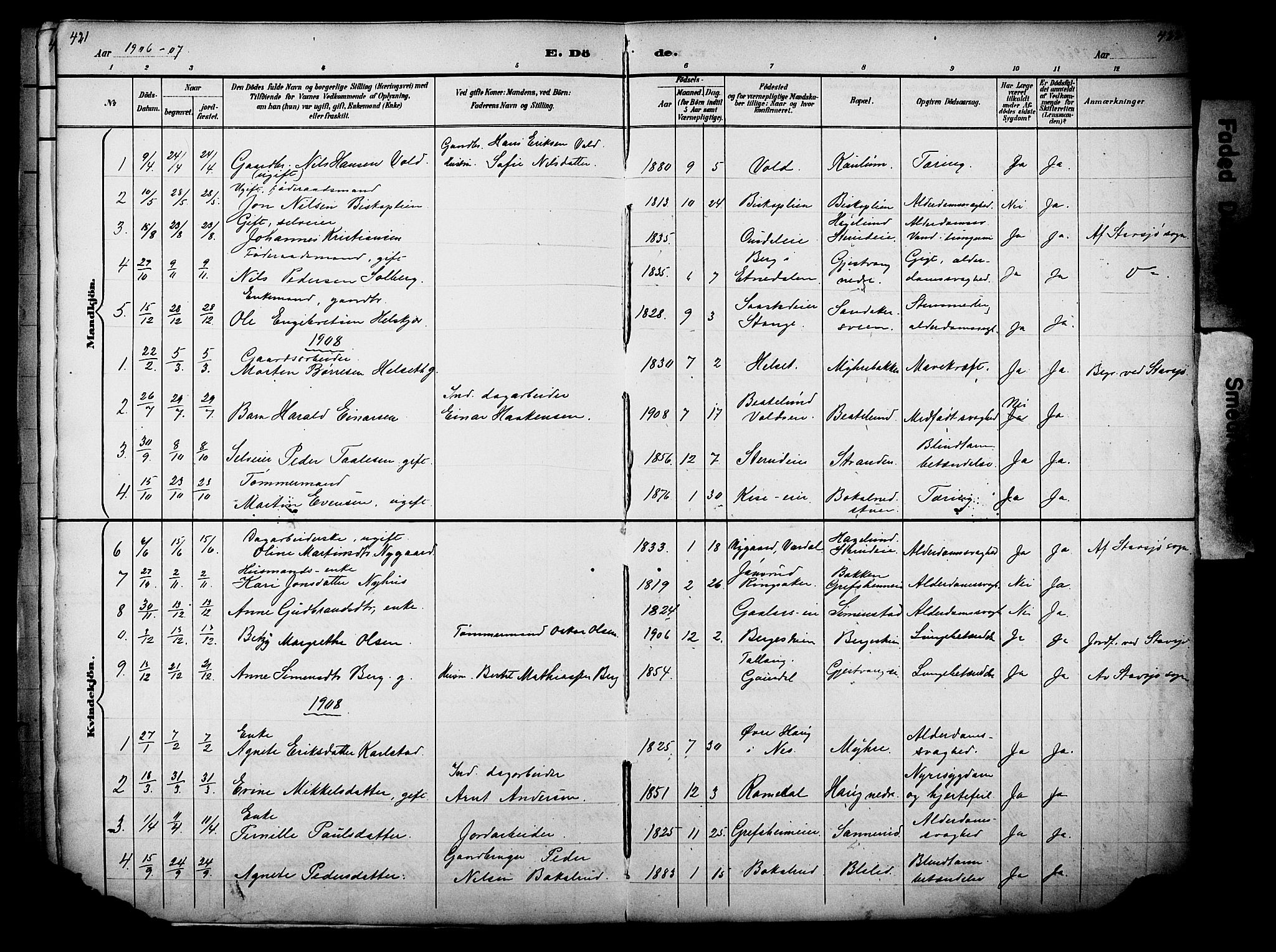 Nes prestekontor, Hedmark, AV/SAH-PREST-020/L/La/L0006: Parish register (copy) no. 6, 1890-1932, p. 421-422